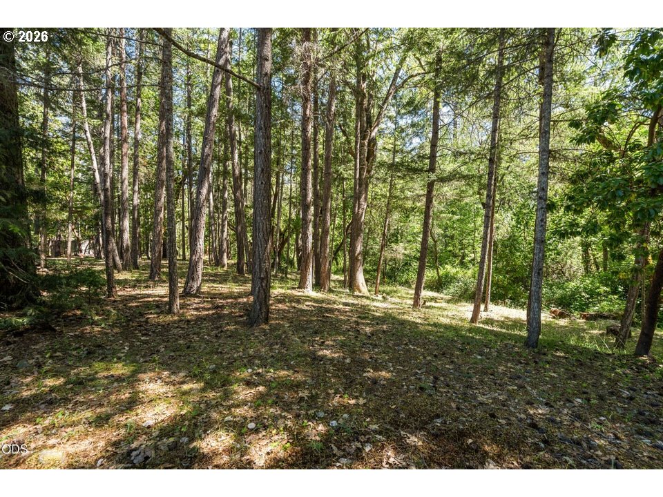 693 Horizon Hills Rd Property Photo 36