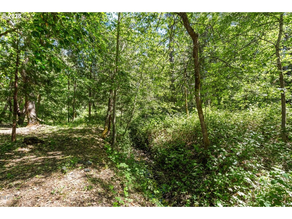 693 Horizon Hills Rd Property Photo 37