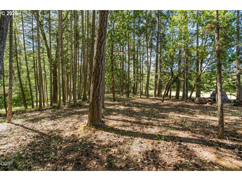 693 Horizon Hills Rd Property Photo 38