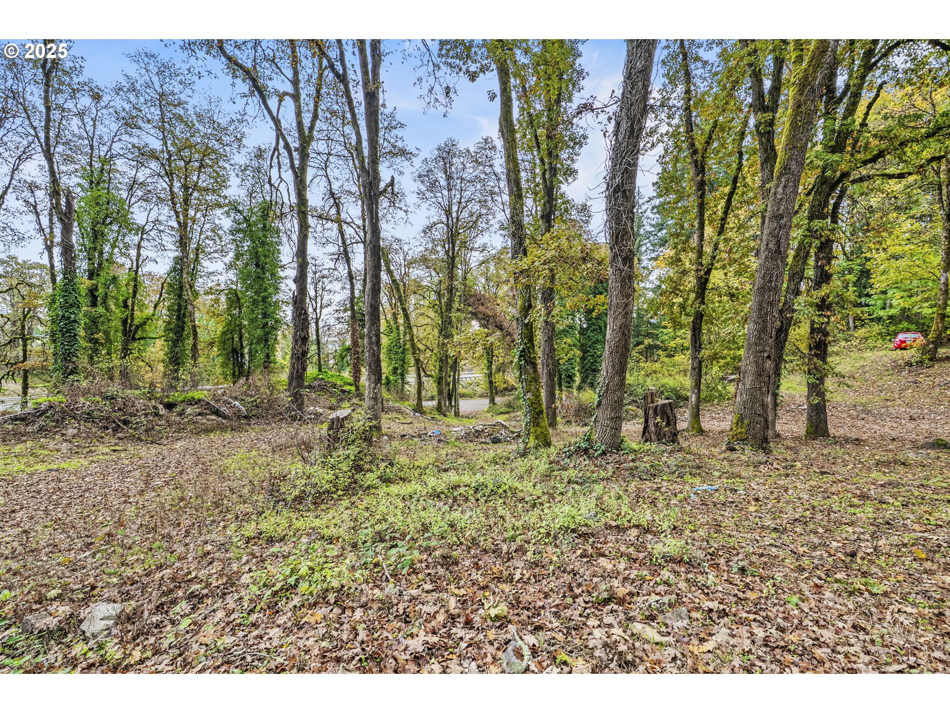 33492 Jaquish Rd Property Photo 1