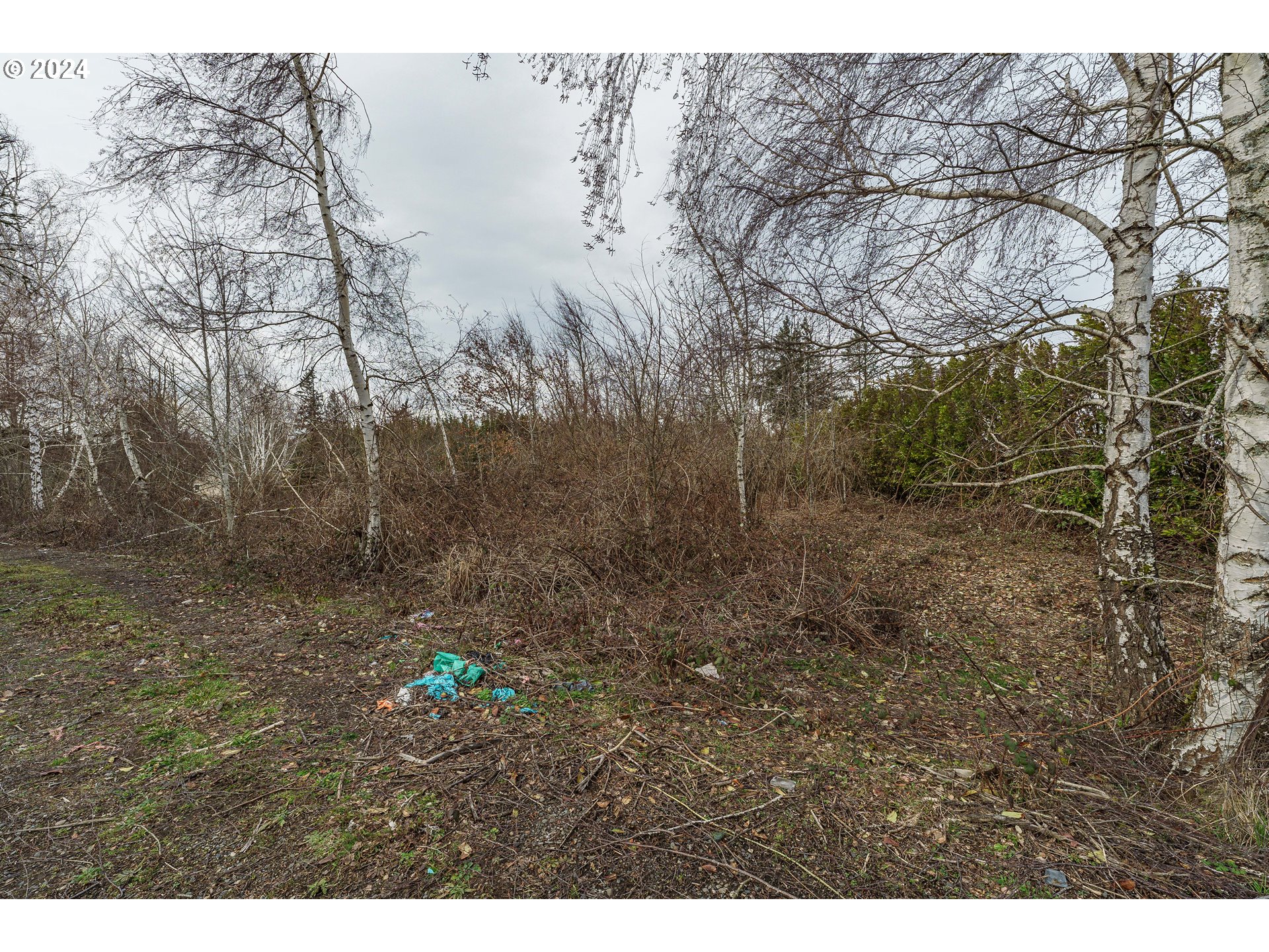 2505 Se Troutdale Rd Property Photo 19