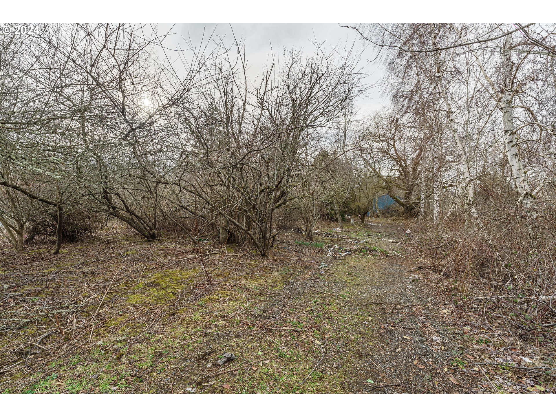 2505 Se Troutdale Rd Property Photo 20