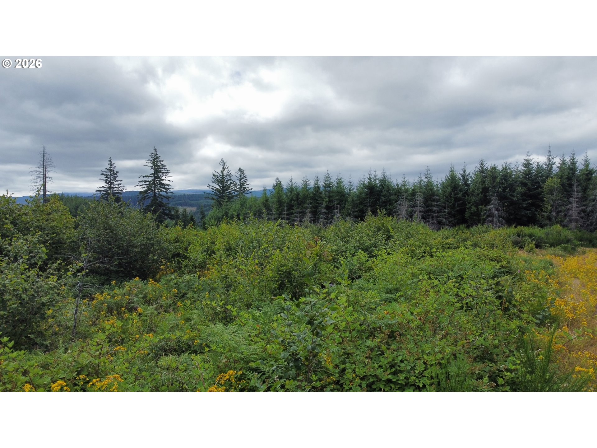 37489 Se Highway 224 Property Photo 3