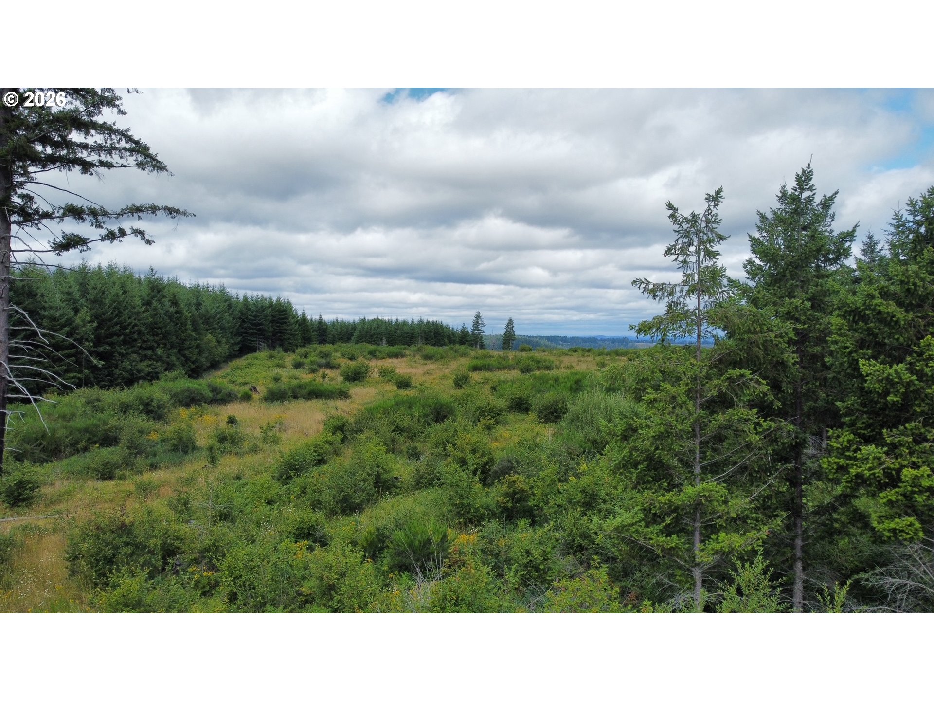 37489 Se Highway 224 Property Photo 4