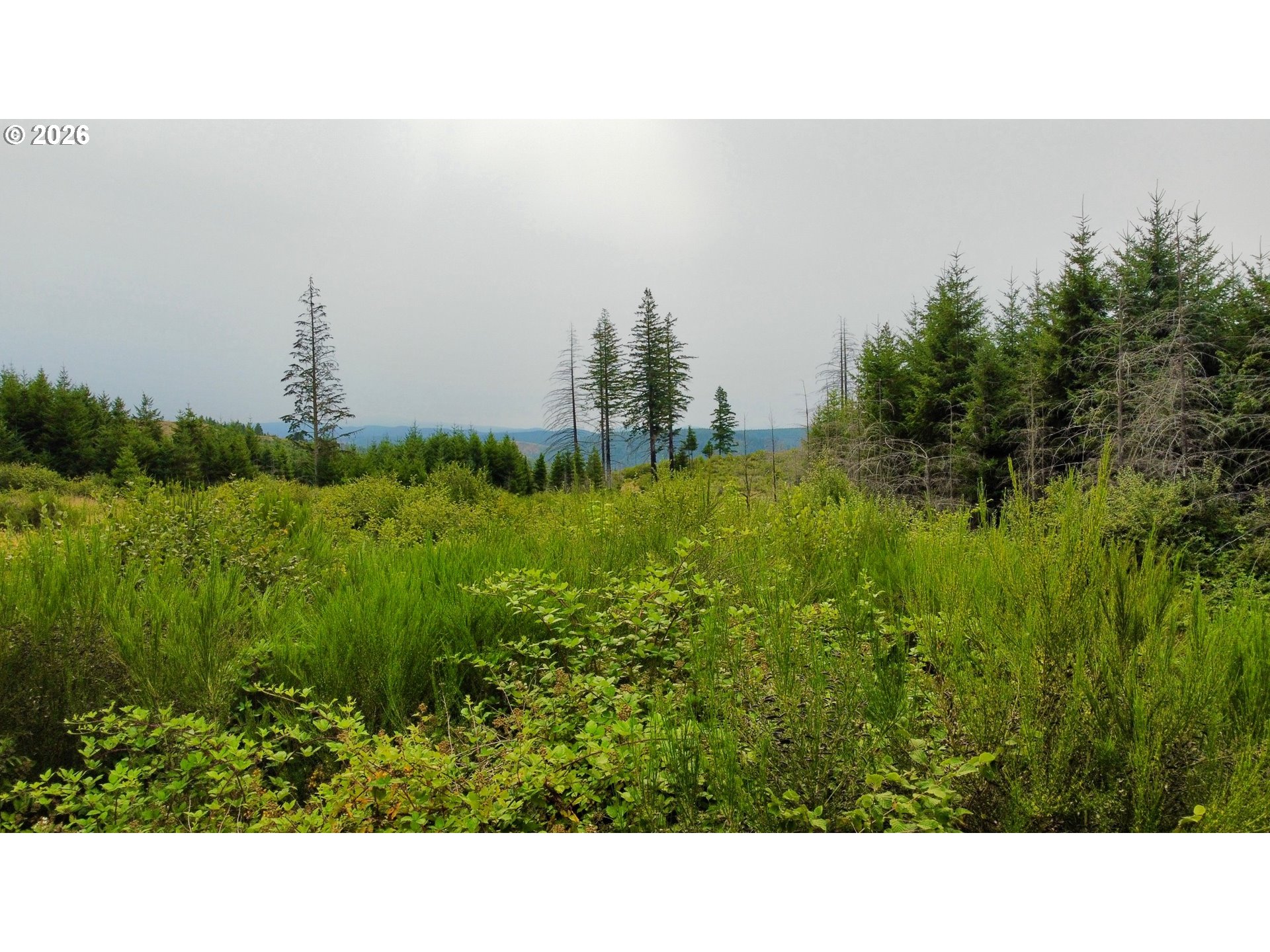 37489 Se Highway 224 Property Photo 5