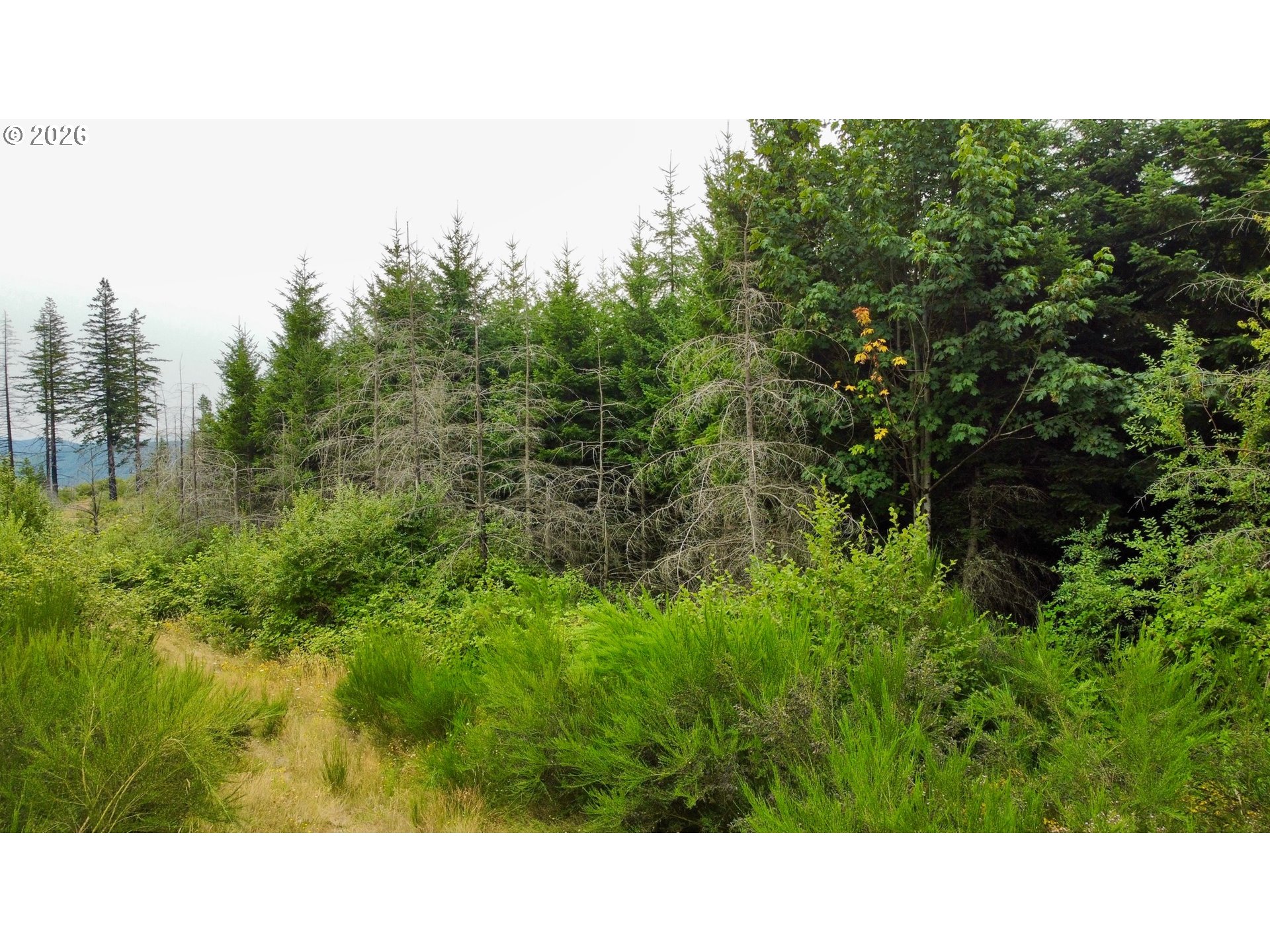 37489 Se Highway 224 Property Photo 8
