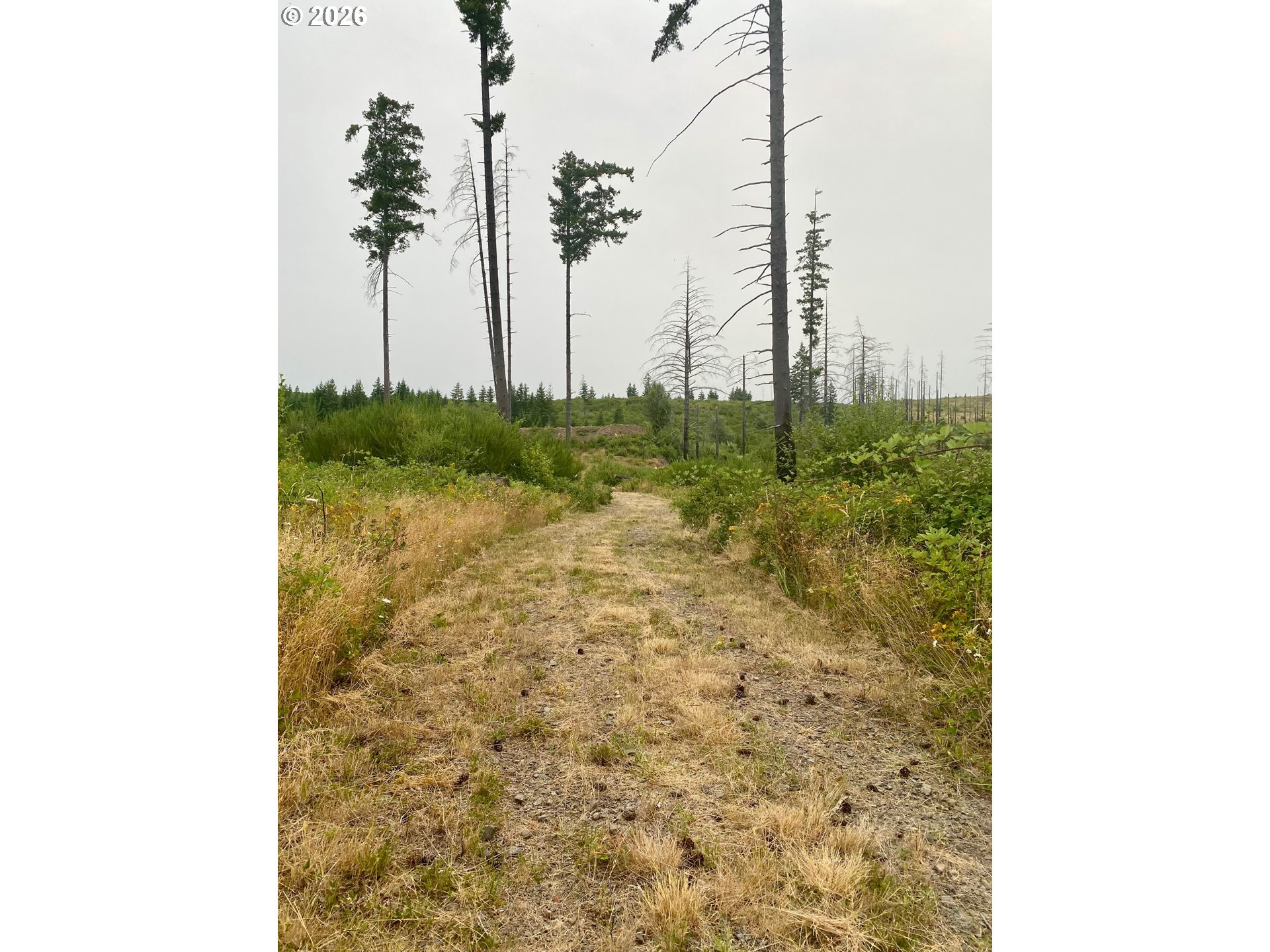 37489 Se Highway 224 Property Photo 9