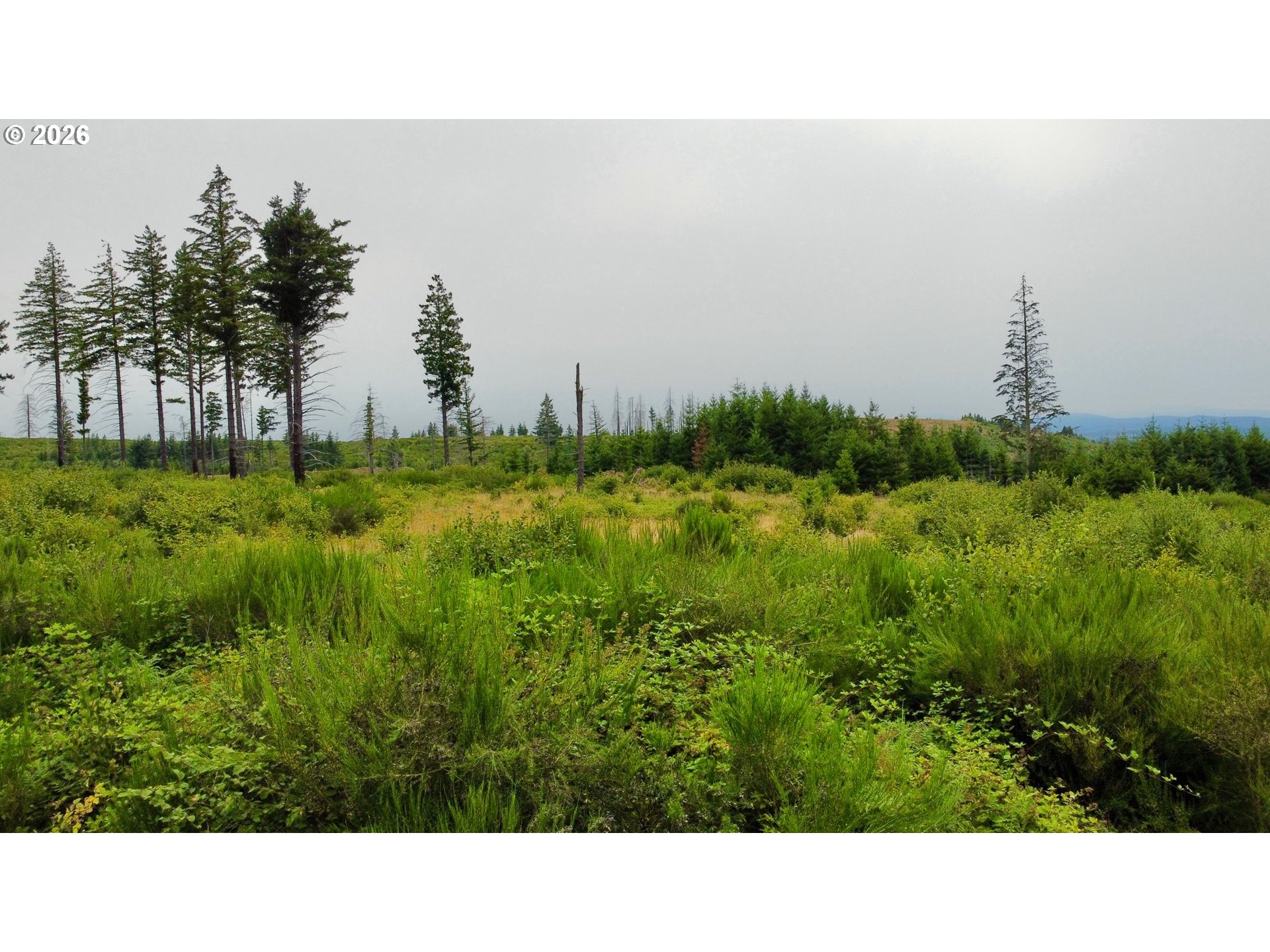 37489 Se Highway 224 Property Photo 10