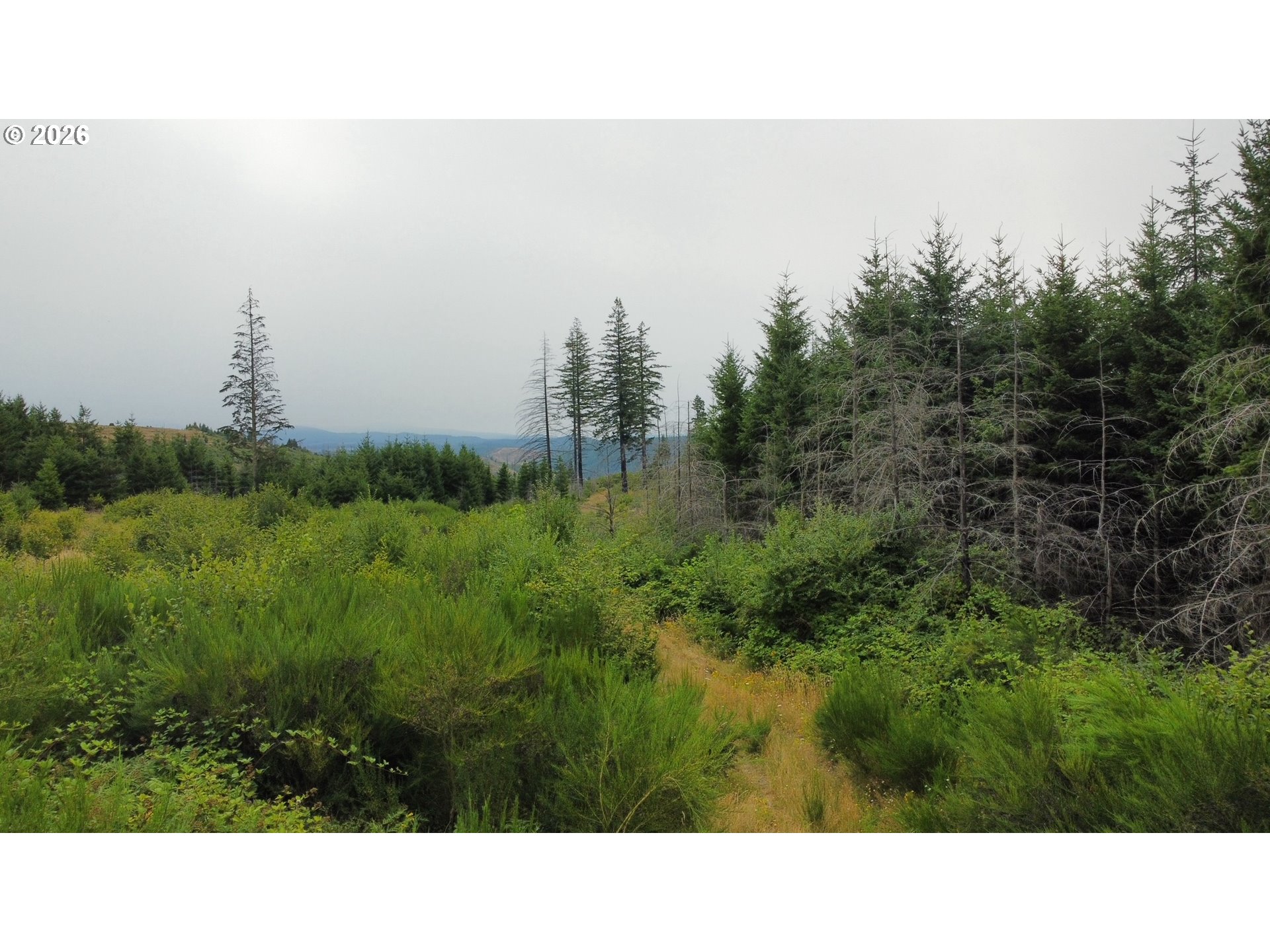 37489 Se Highway 224 Property Photo 11