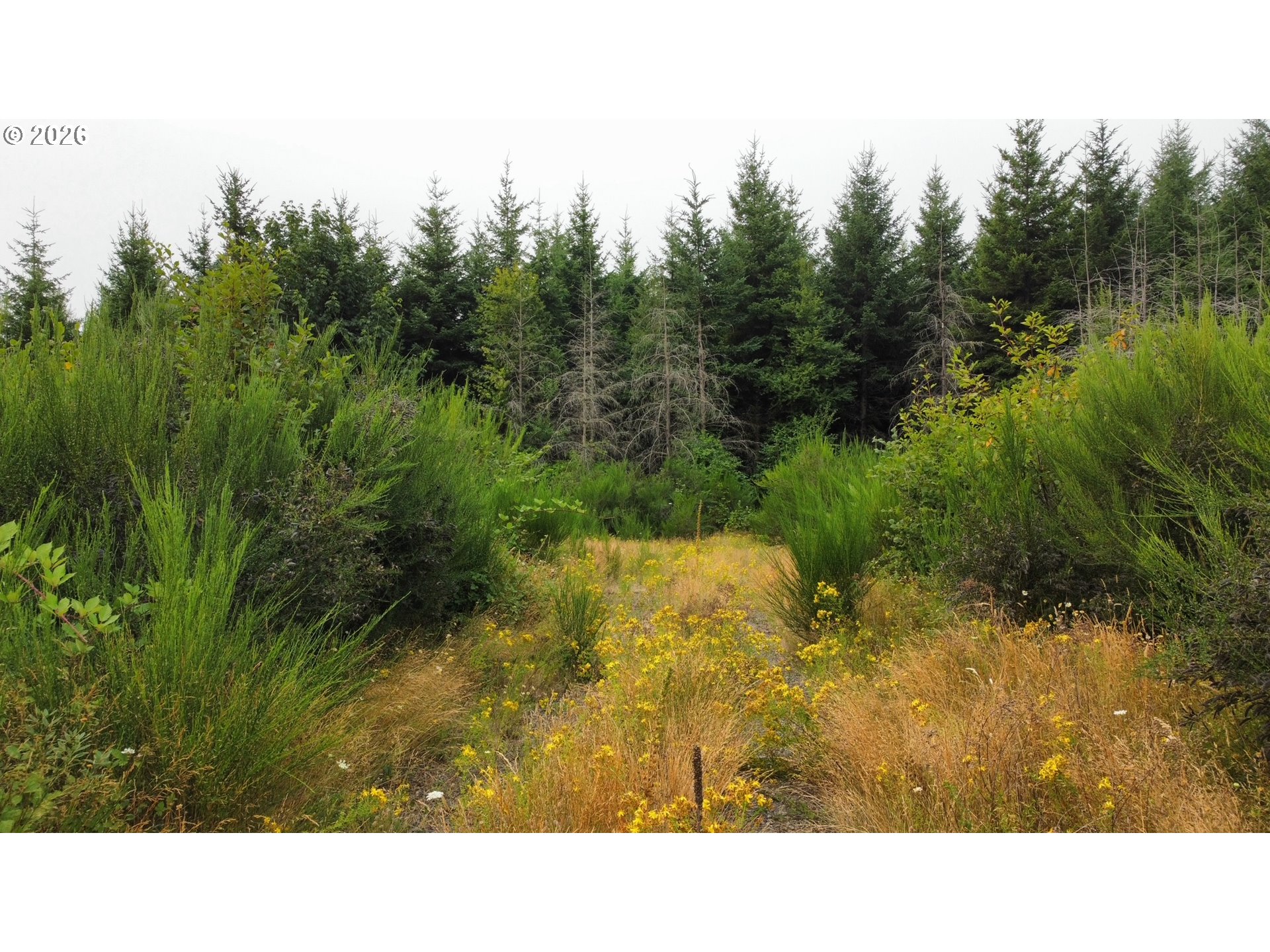 37489 Se Highway 224 Property Photo 12