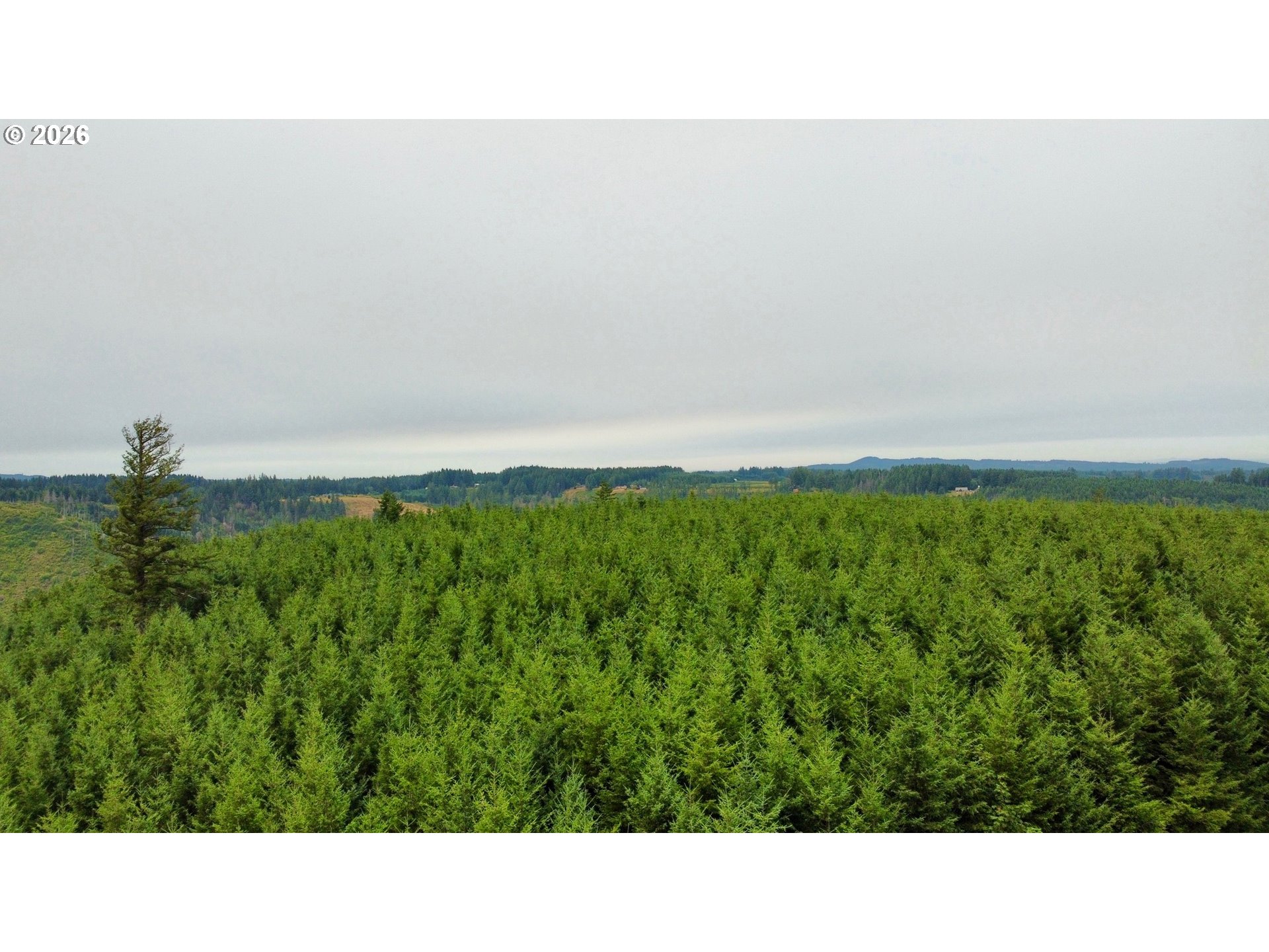 37489 Se Highway 224 Property Photo 13