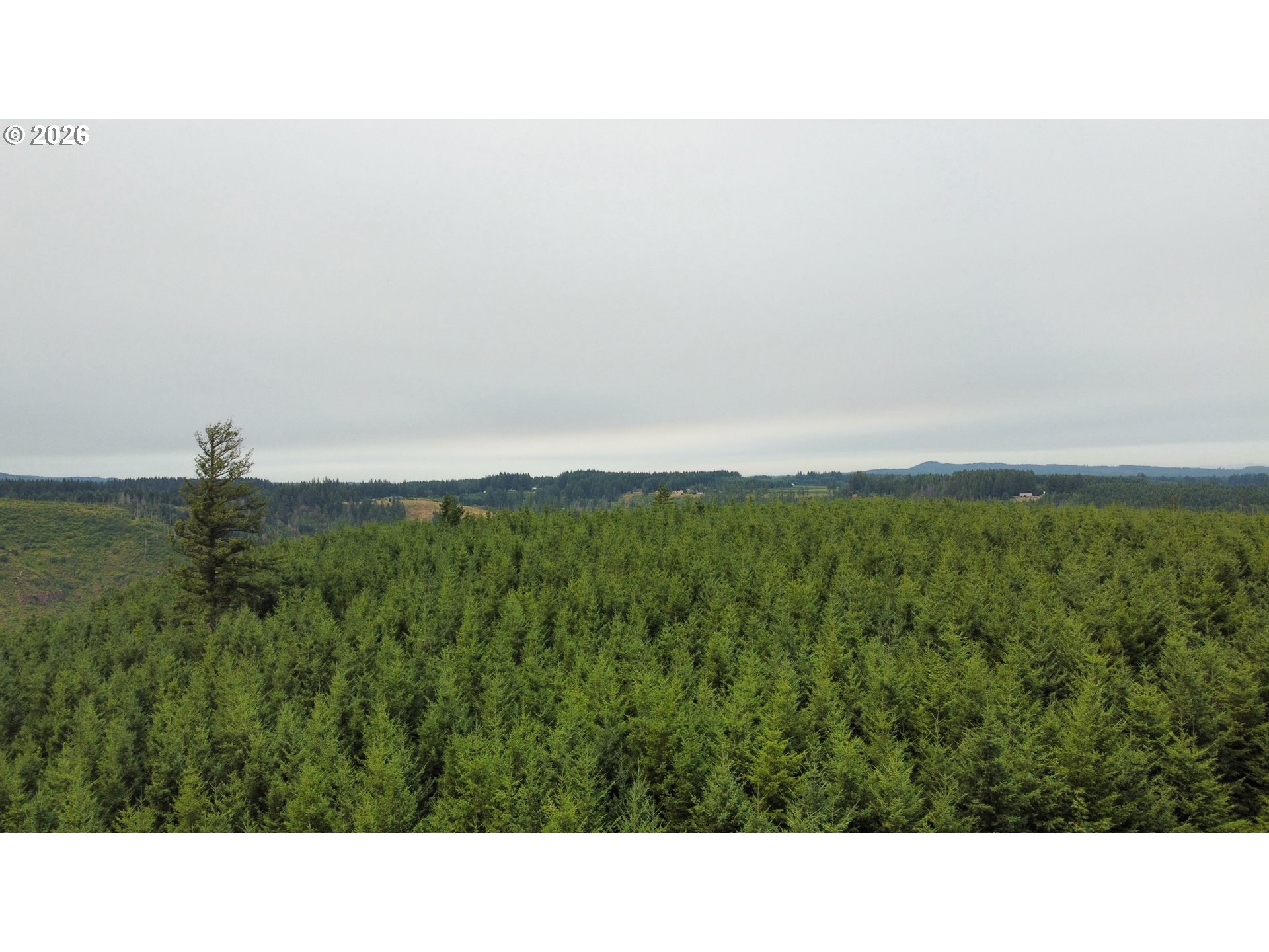 37489 Se Highway 224 Property Photo 15