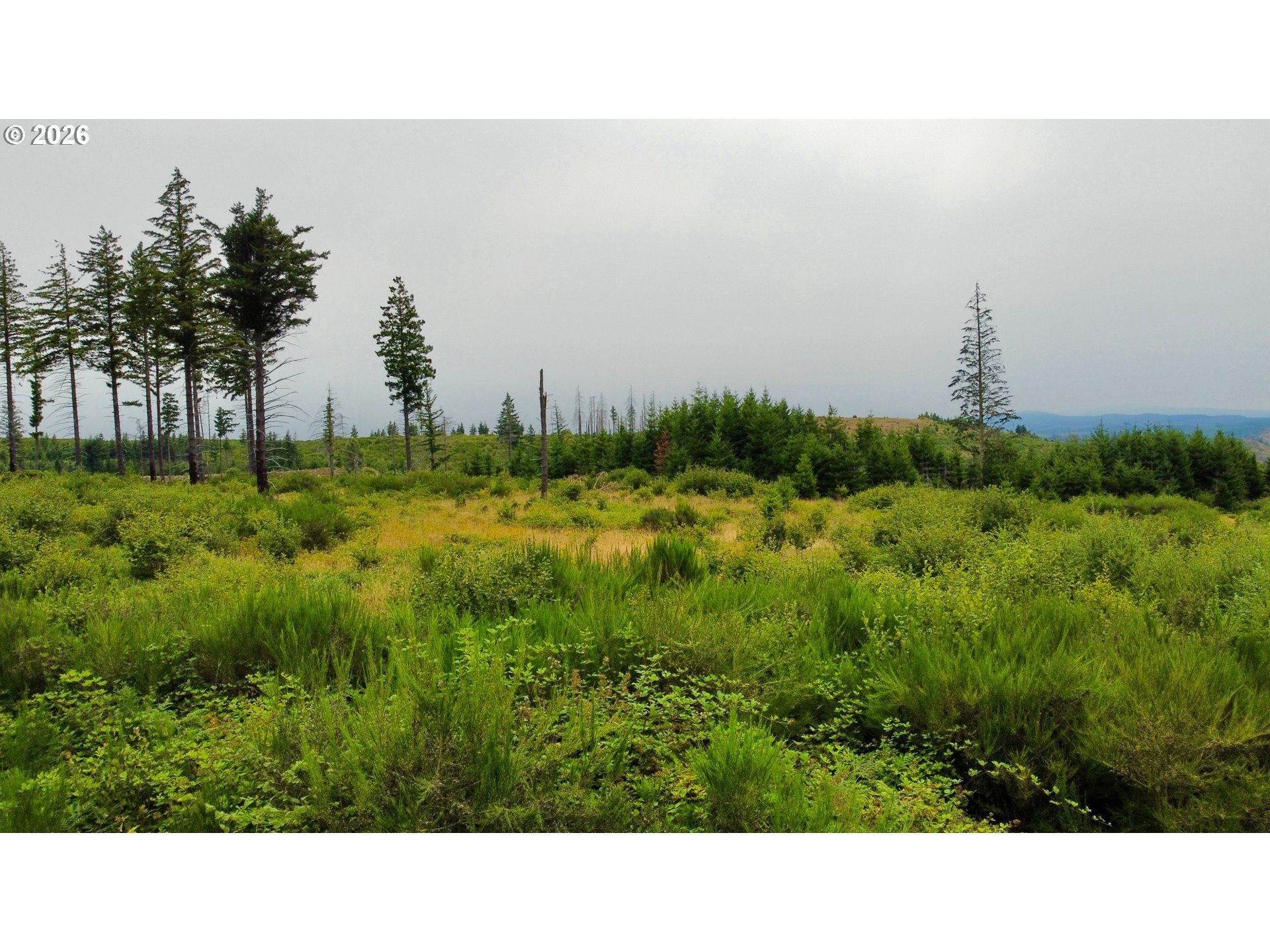 37489 Se Highway 224 Property Photo 16