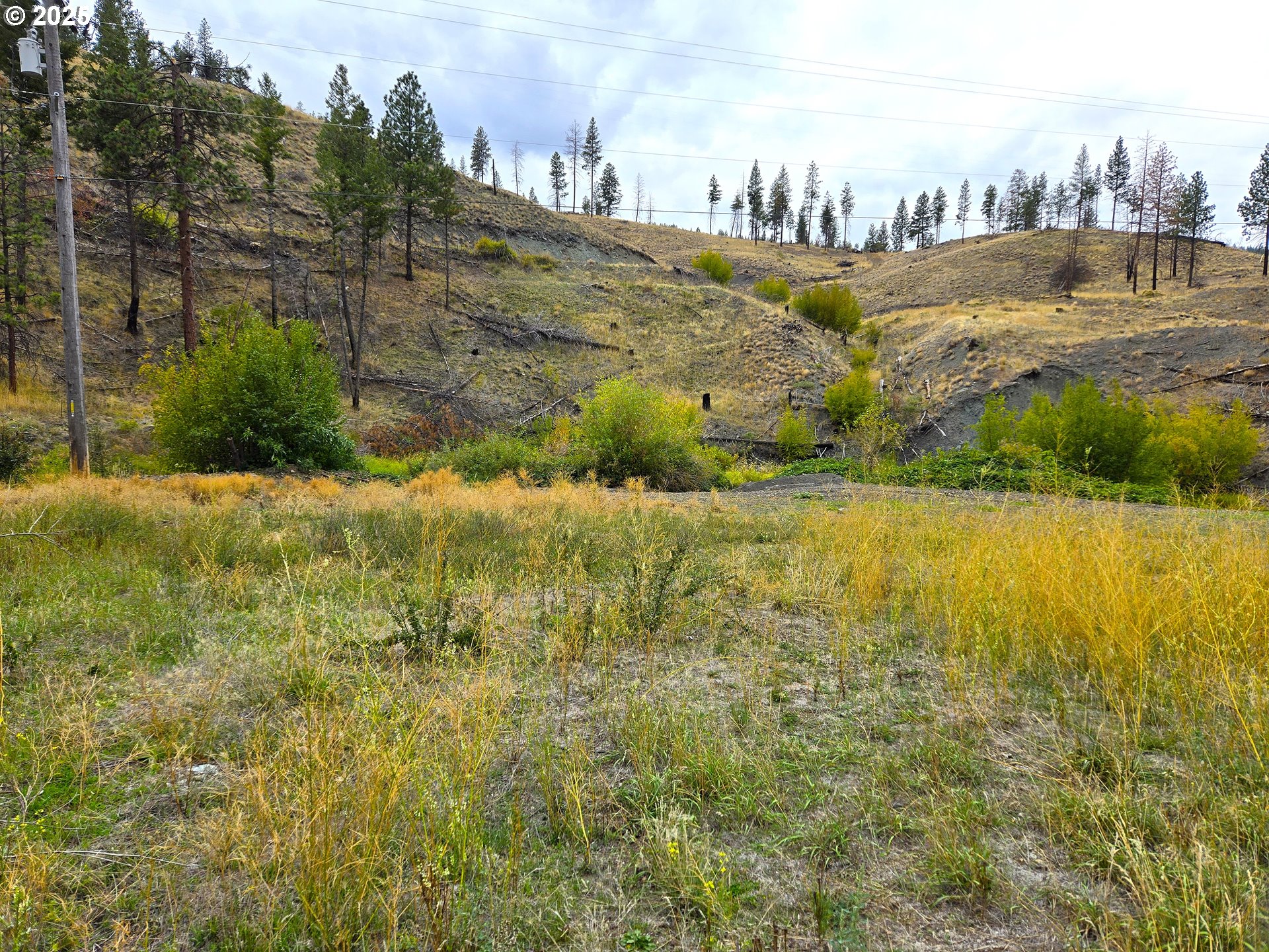25920 Hwy 395 S Property Photo 1