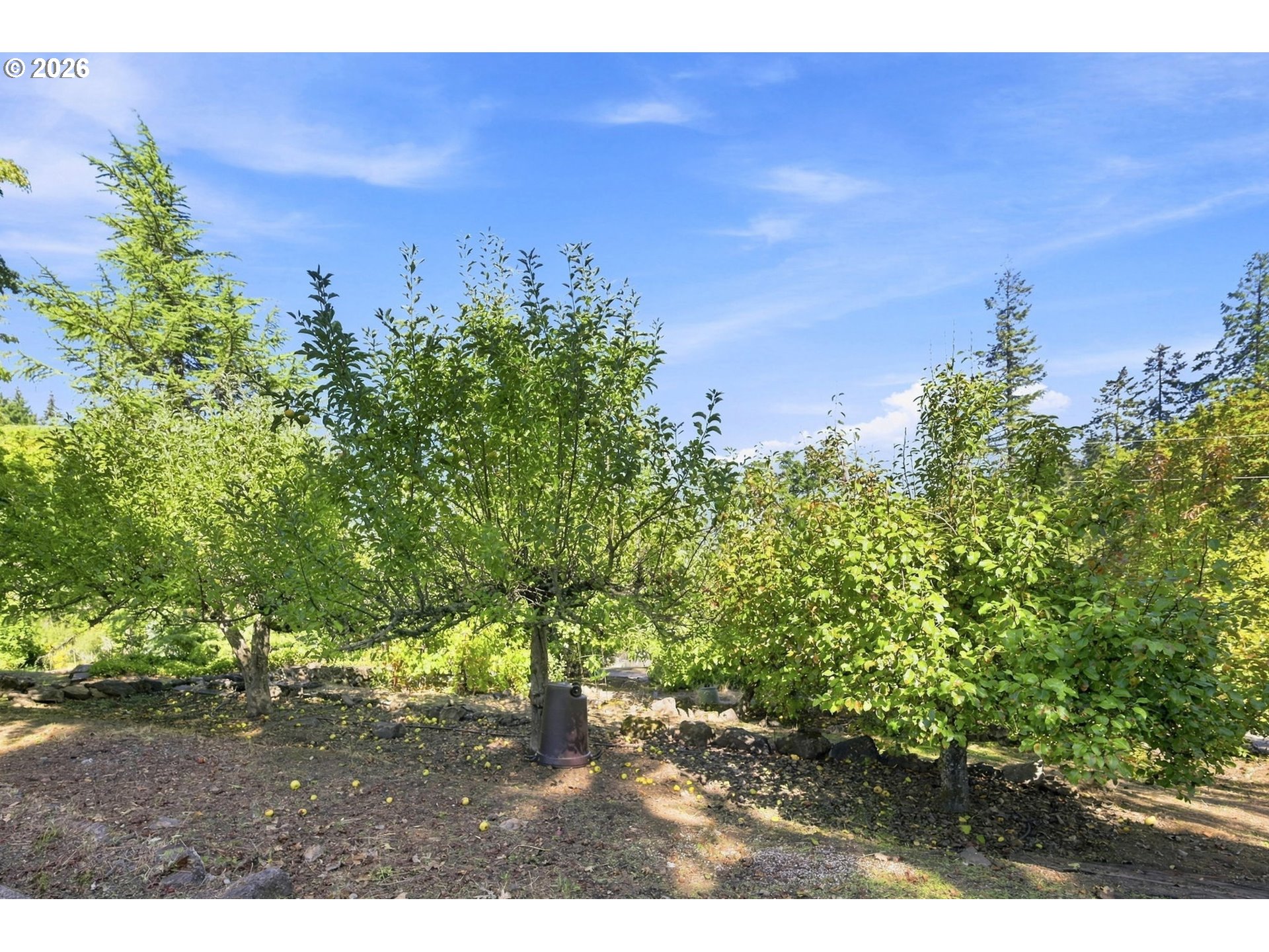 87188 Green Hill Rd Property Photo 46