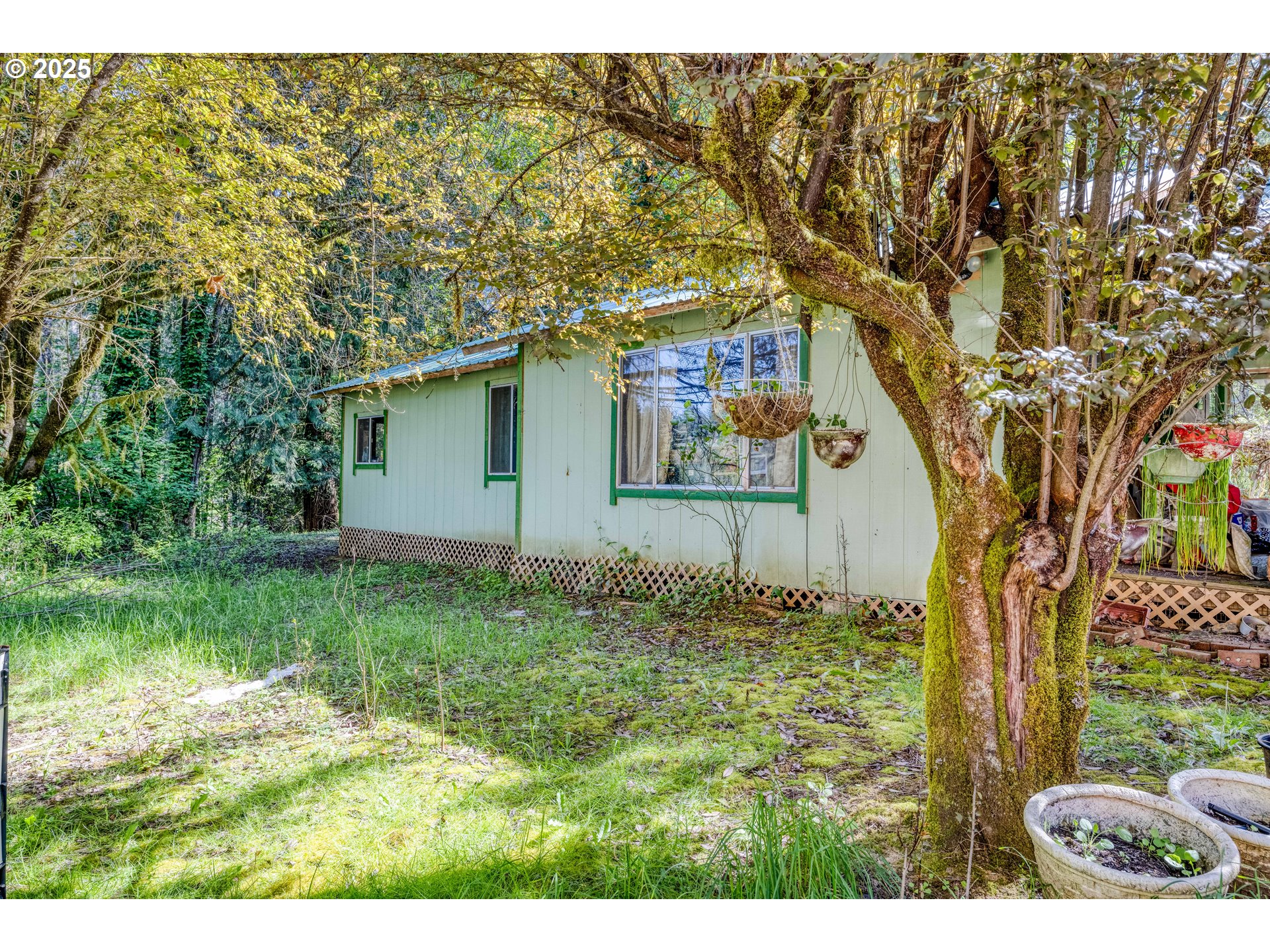 56010 Goldbrick Rd Property Photo 13