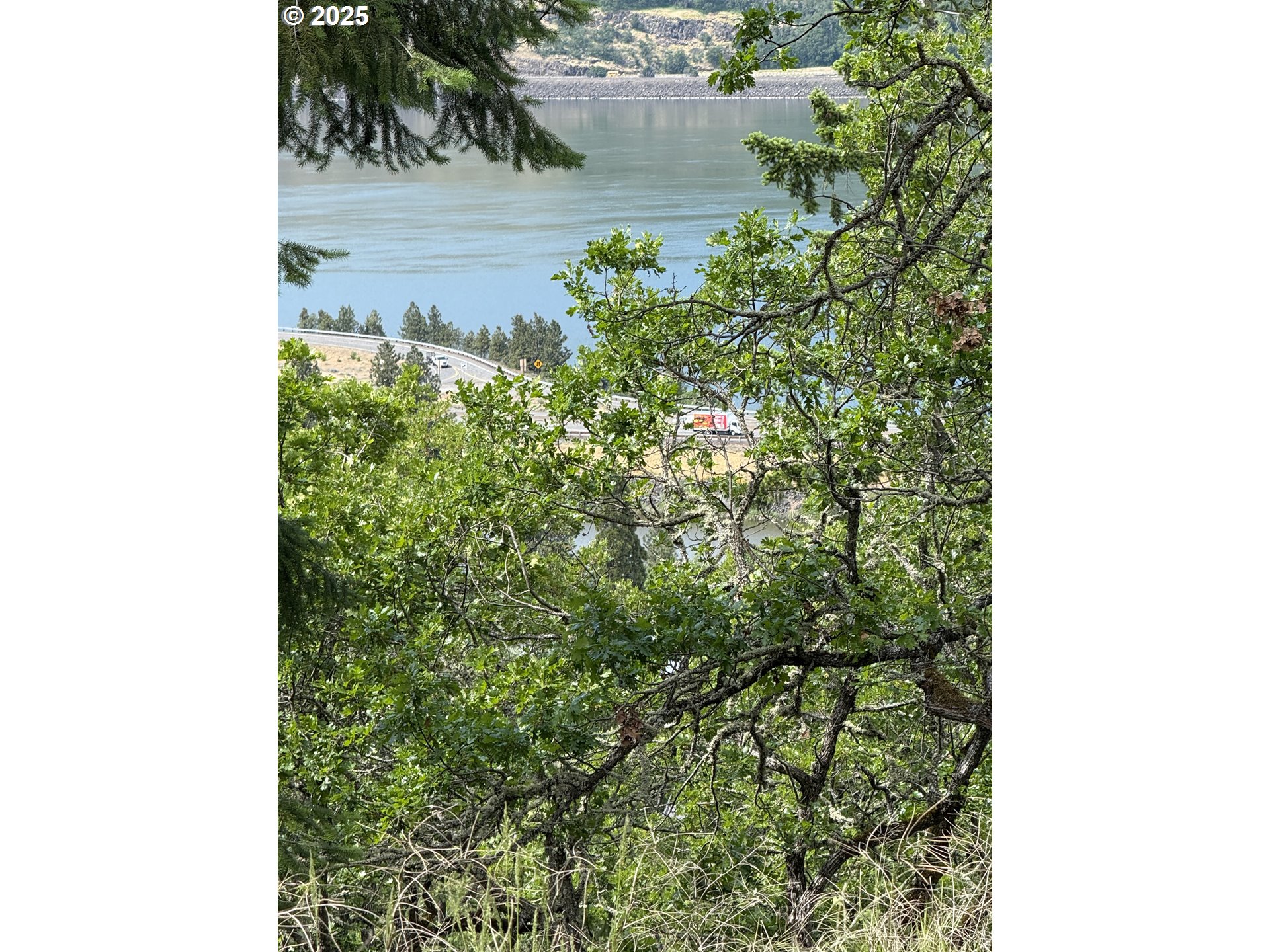 Coyote Ct Lot#43 Property Photo 4