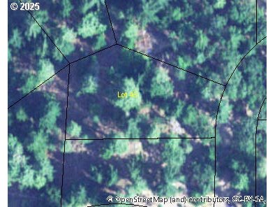 Coyote Ct Lot#43 Property Photo 10