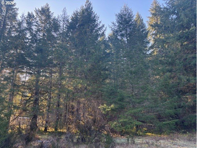Brice Creek Rd Property Photo 1