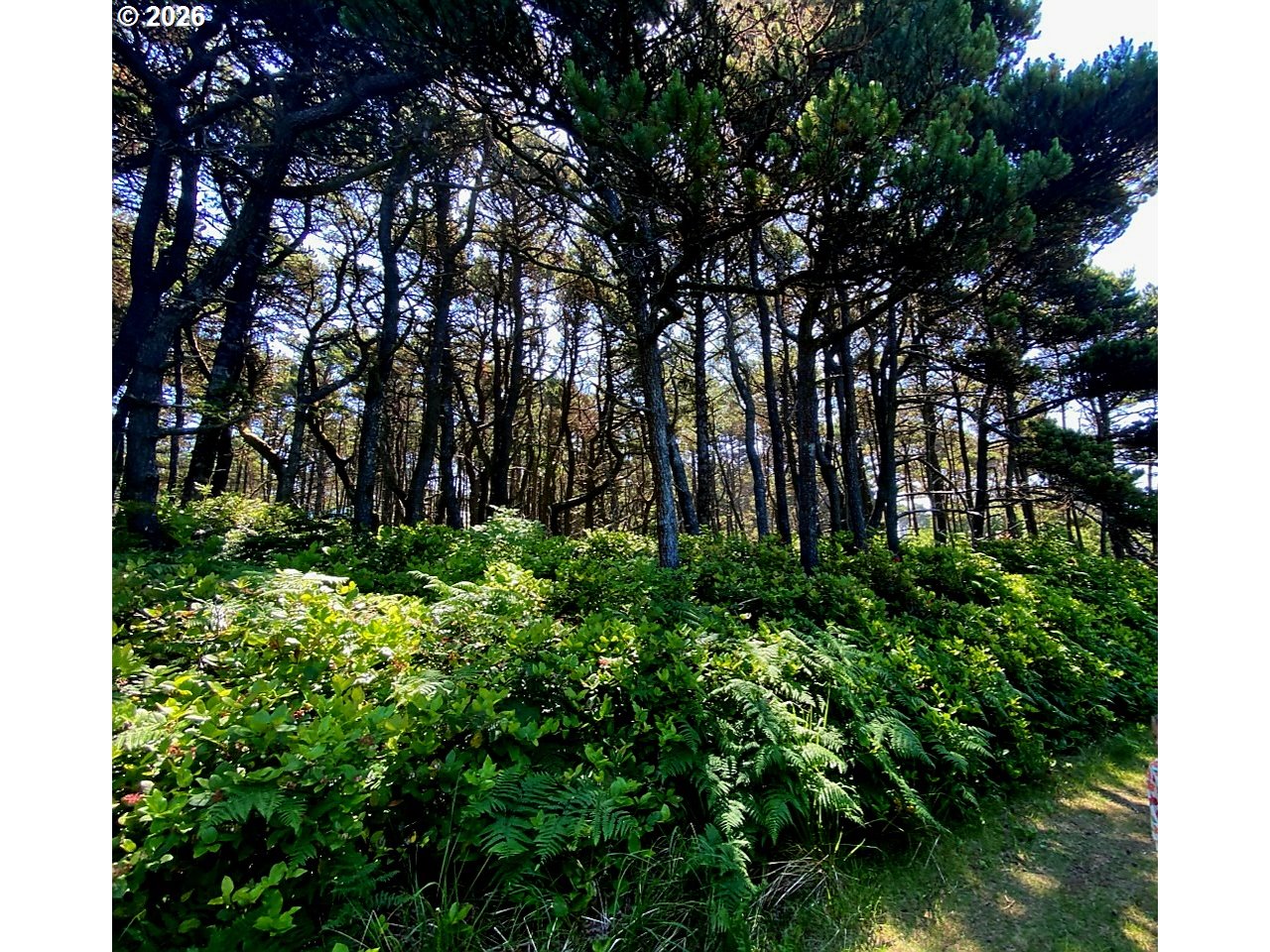 Sea Way Loop Property Photo 2