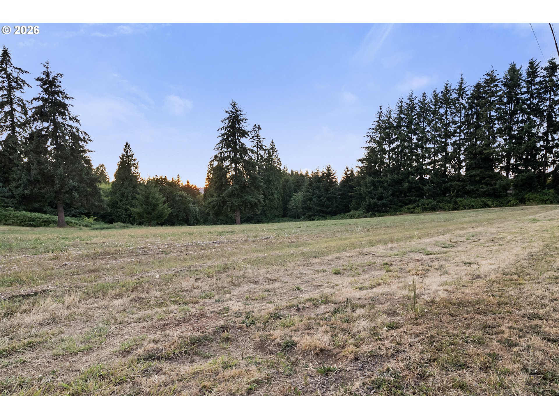 29300 Se Wheeler Rd Property Photo 5