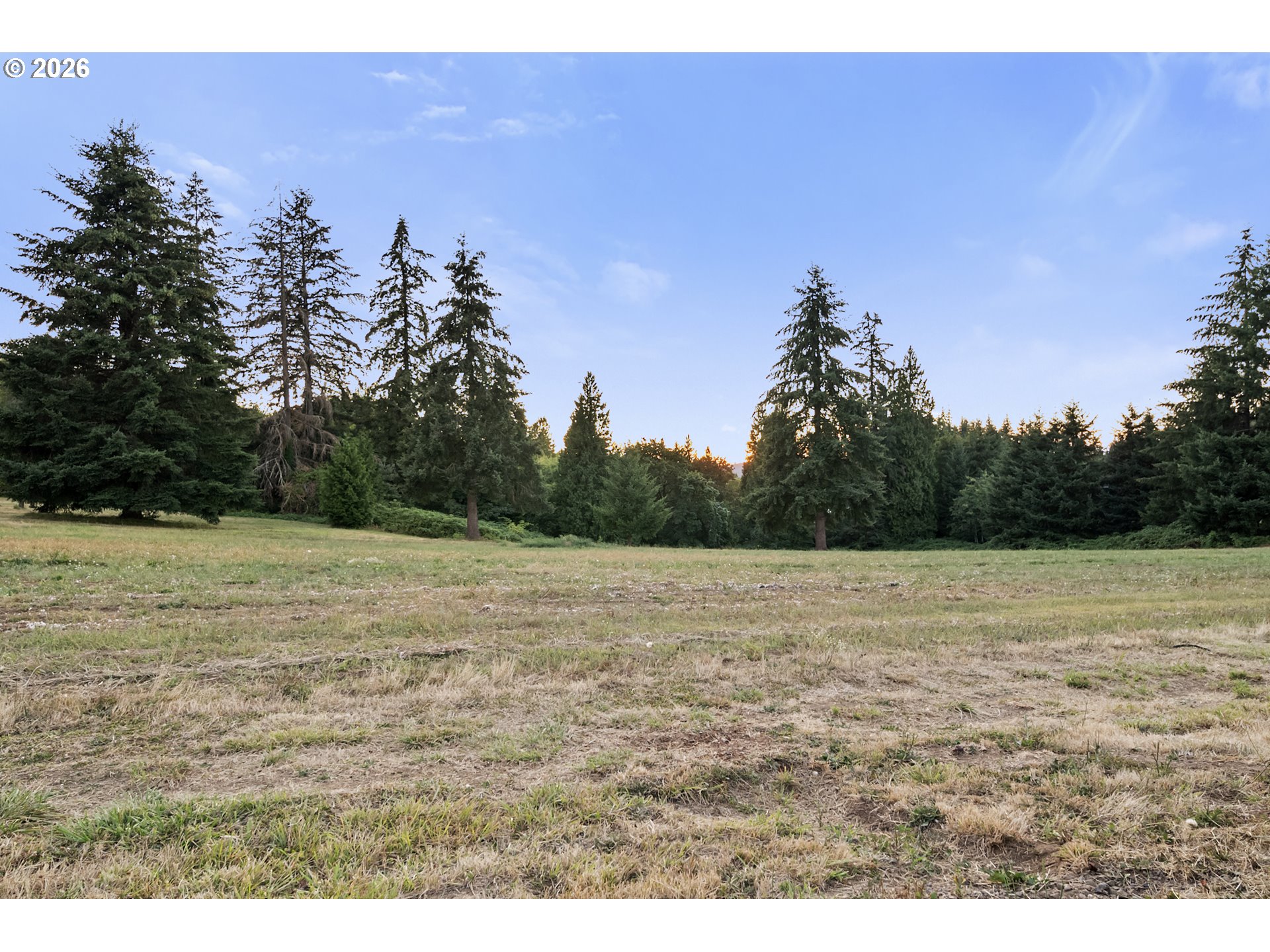 29300 Se Wheeler Rd Property Photo 6