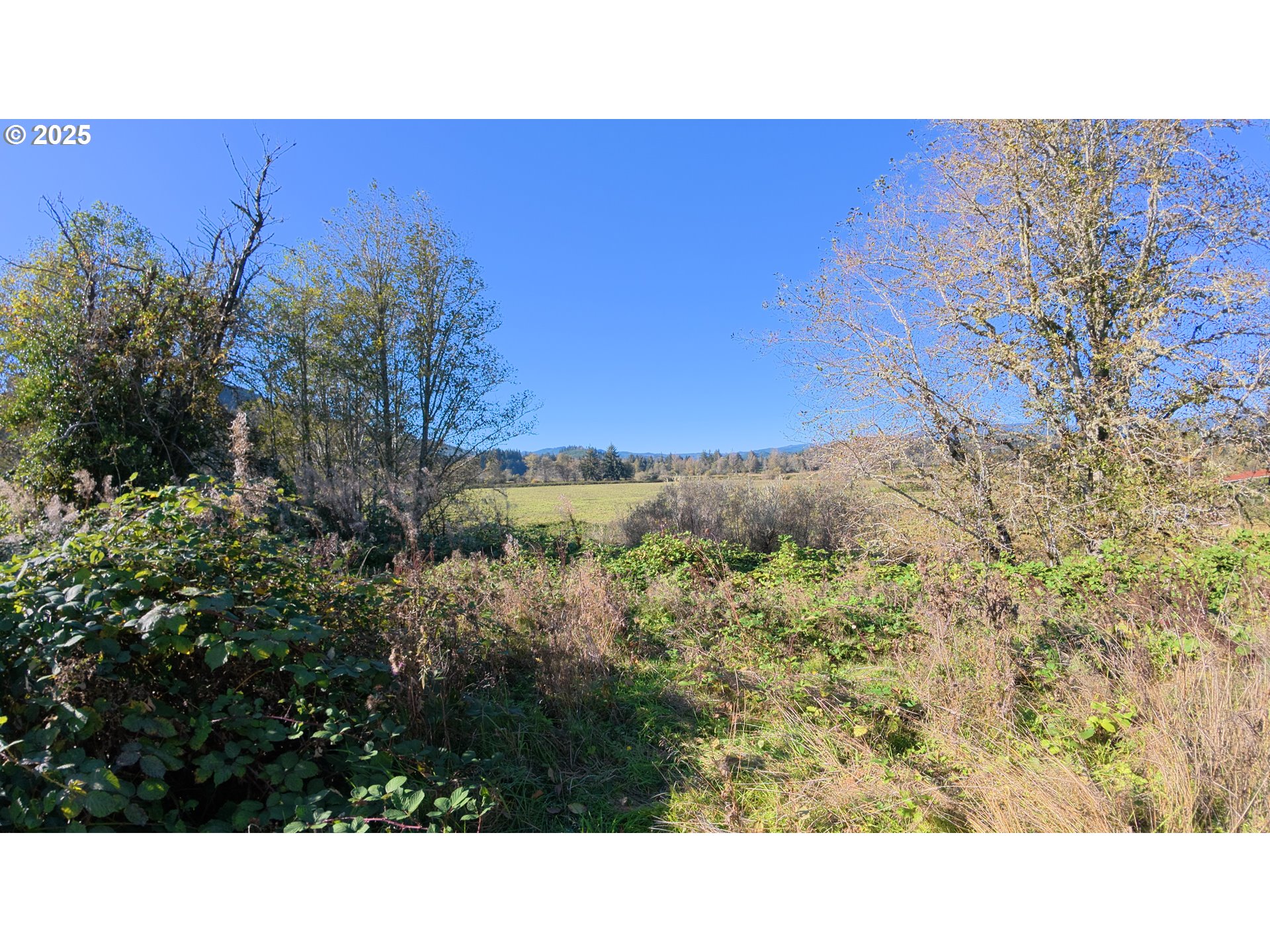 105 E Valley Rd Property Photo 10