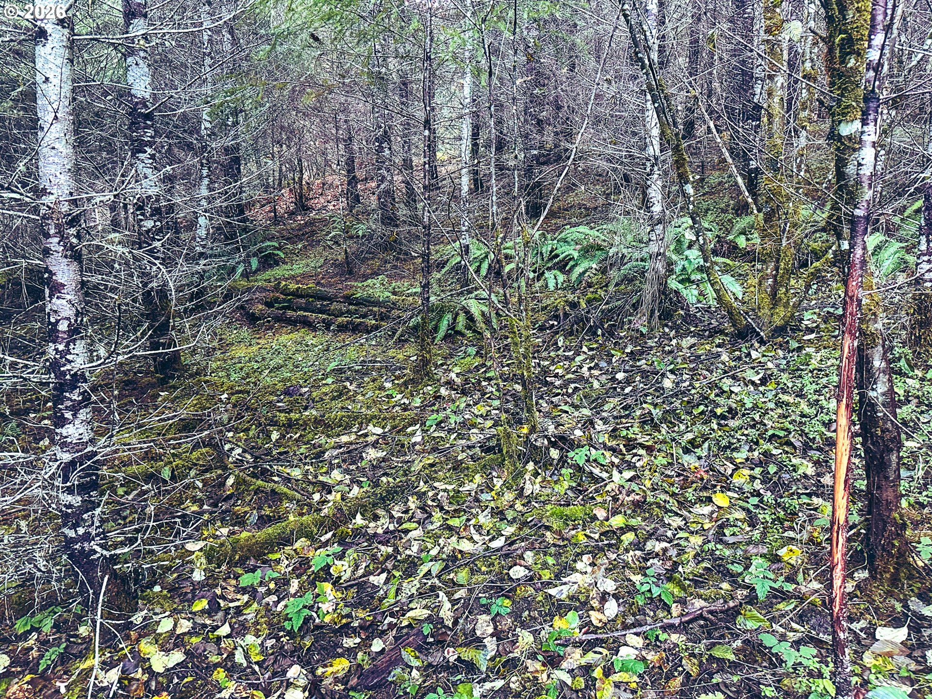 La Duke Rd Tl105 Property Photo 5