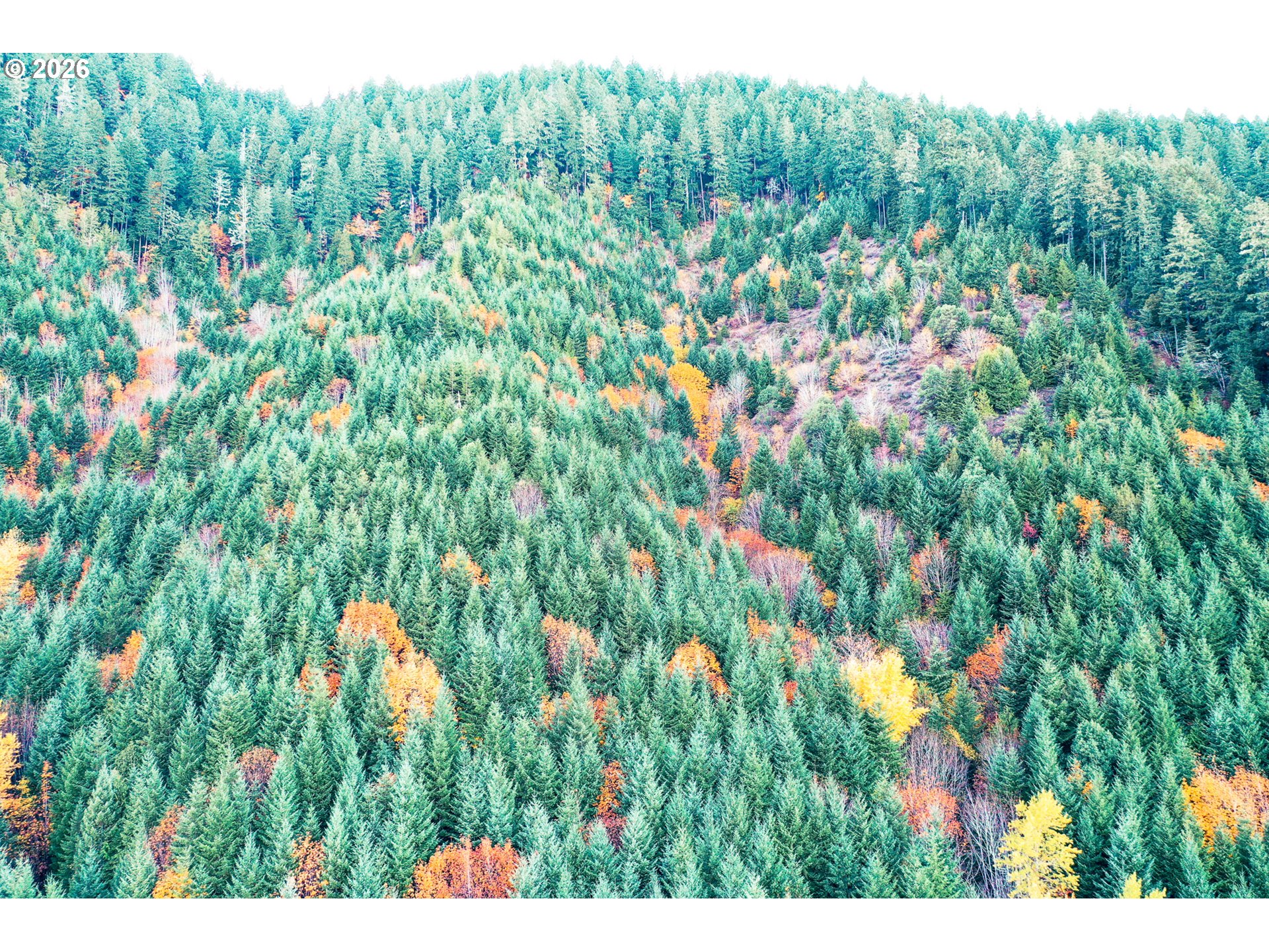 La Duke Rd Tl105 Property Photo 11