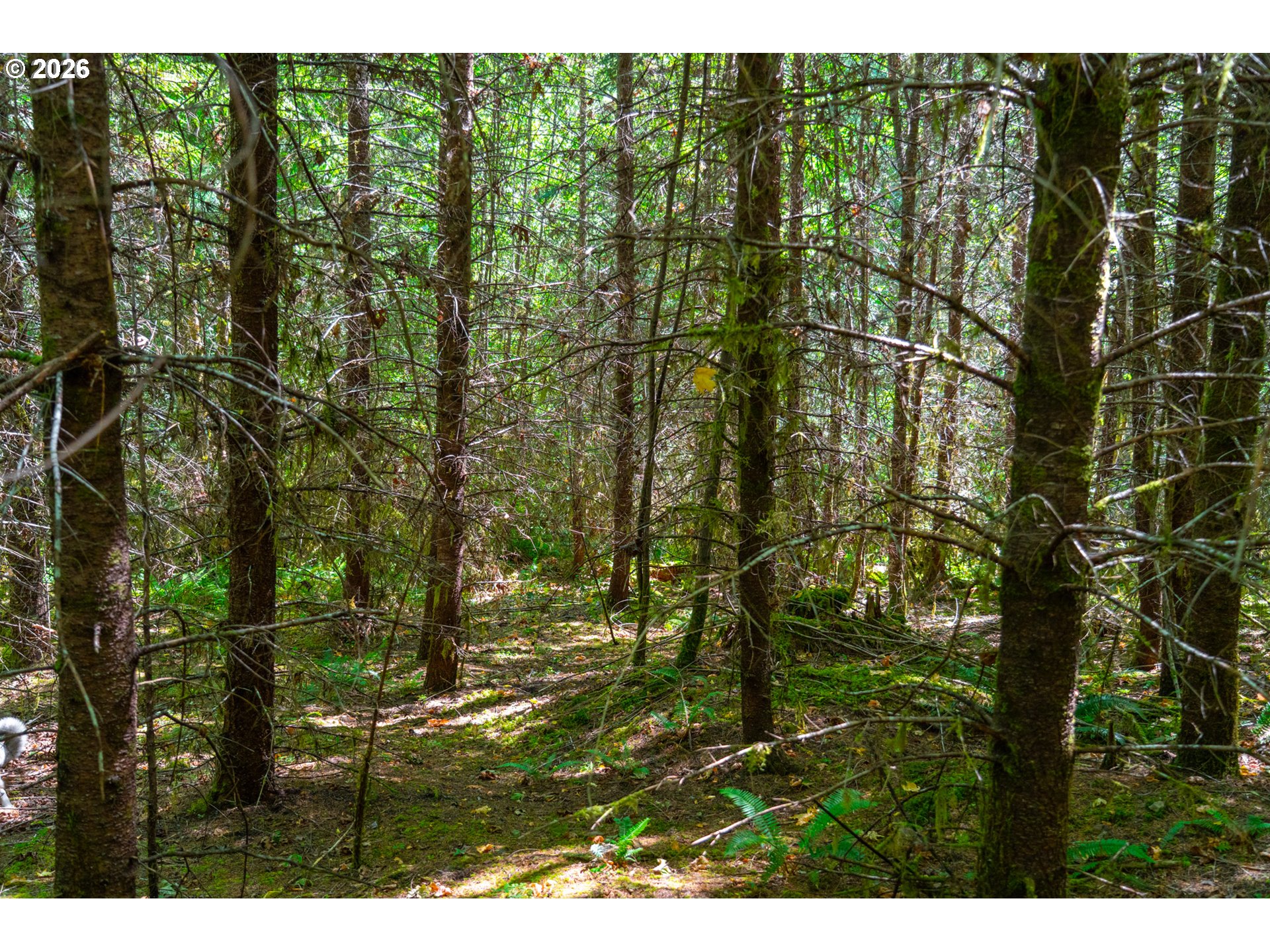 La Duke Rd Tl105 Property Photo 32