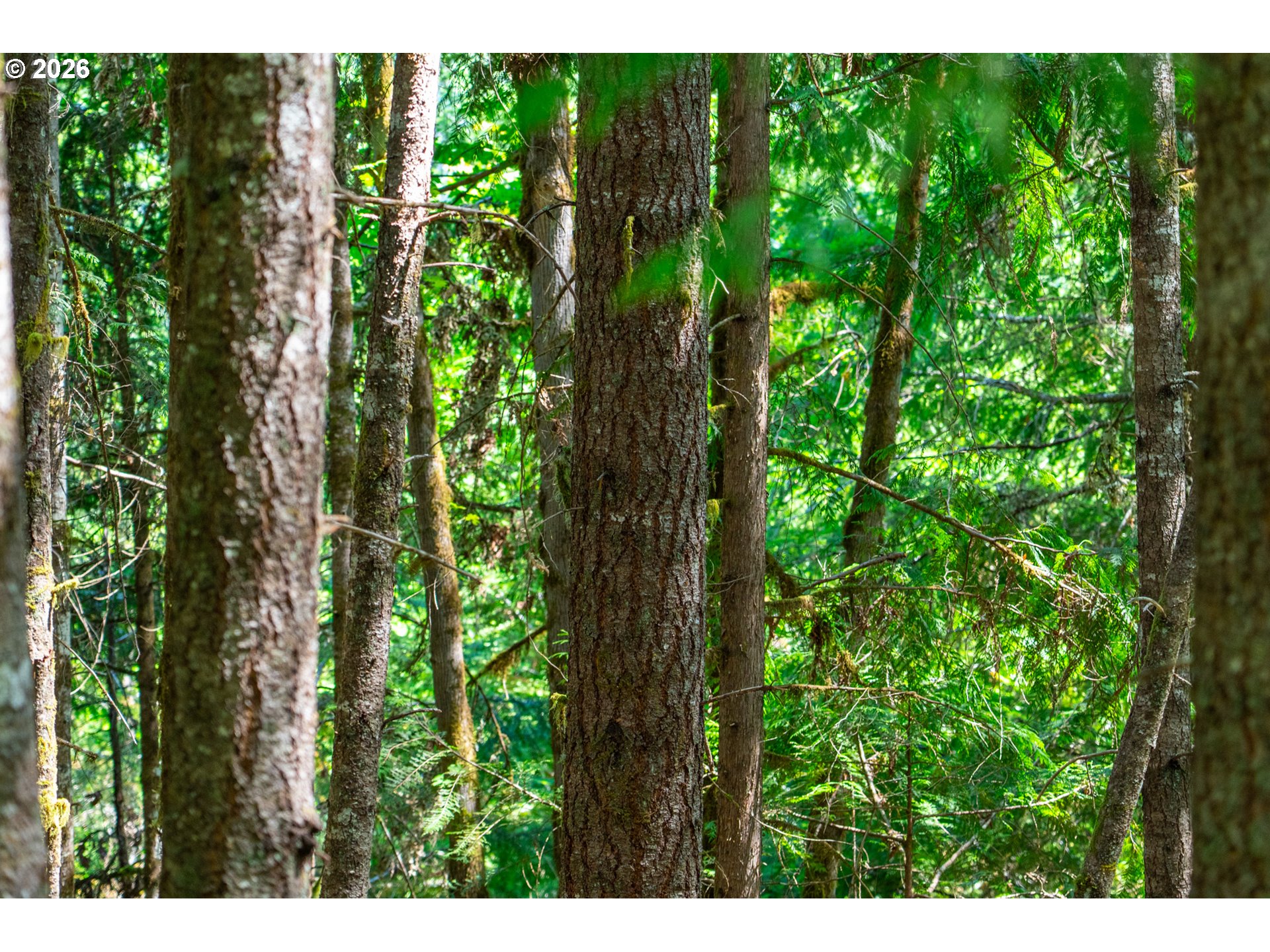 La Duke Rd Tl105 Property Photo 34