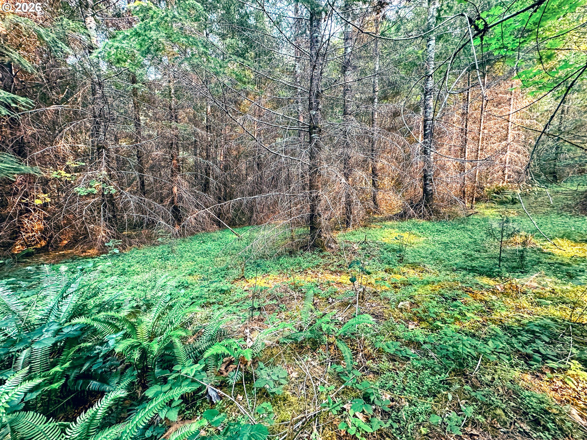 La Duke Rd Tl105 Property Photo 46