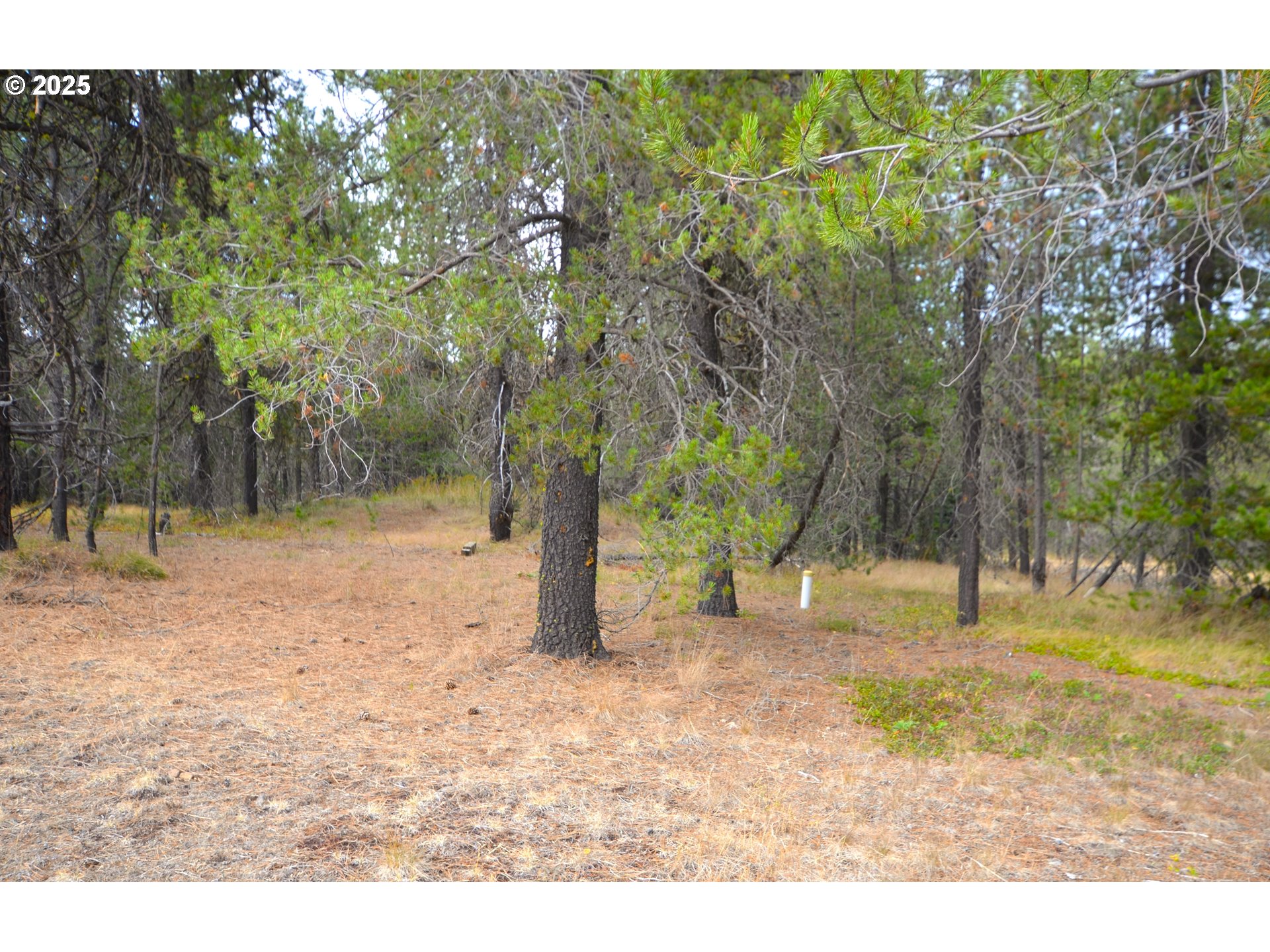 64955 Old Oregon Property Photo 17