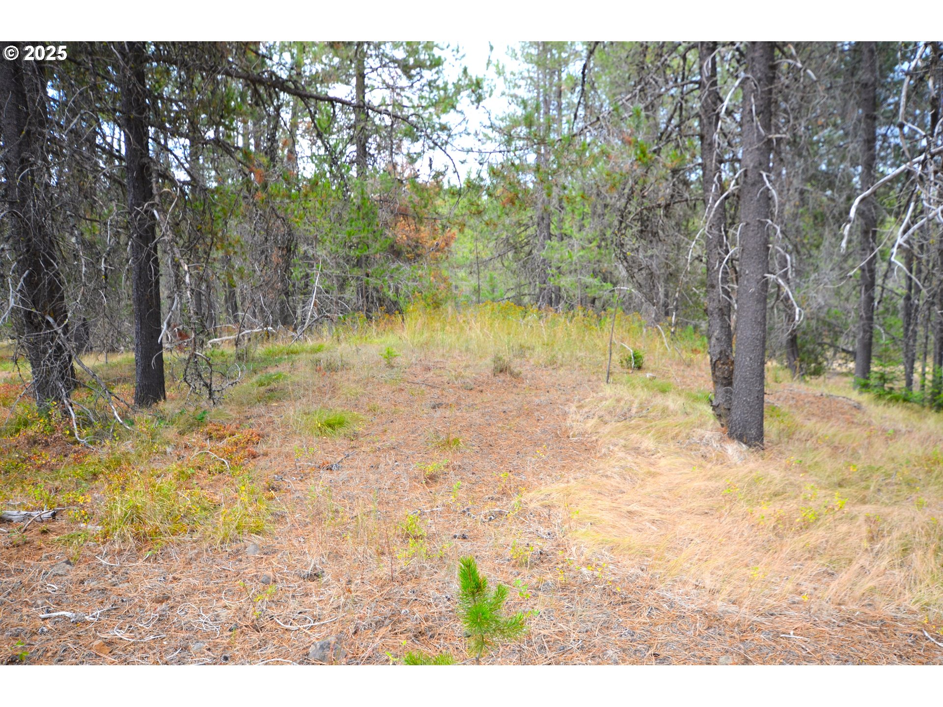64955 Old Oregon Property Photo 18