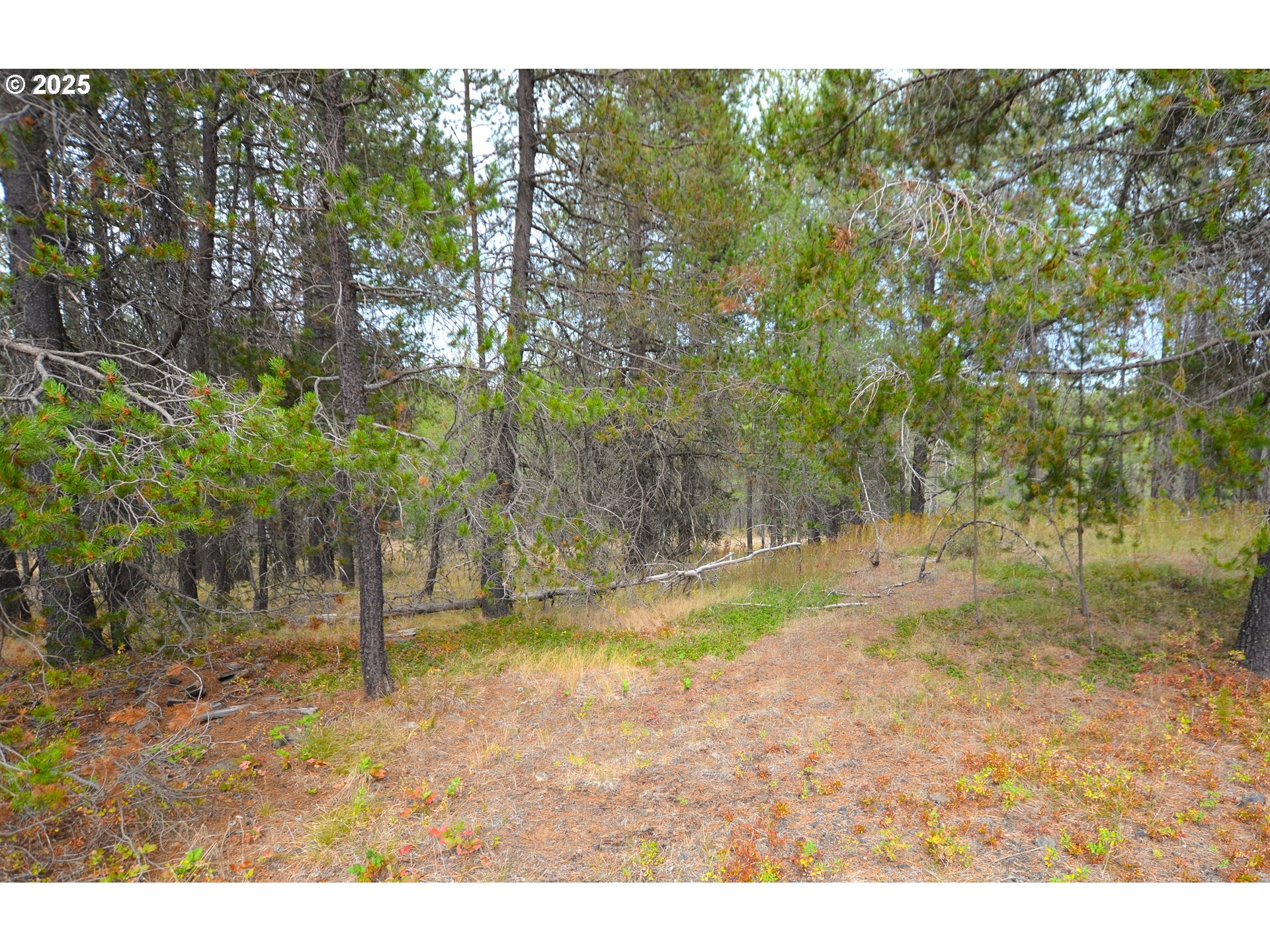 64955 Old Oregon Property Photo 19