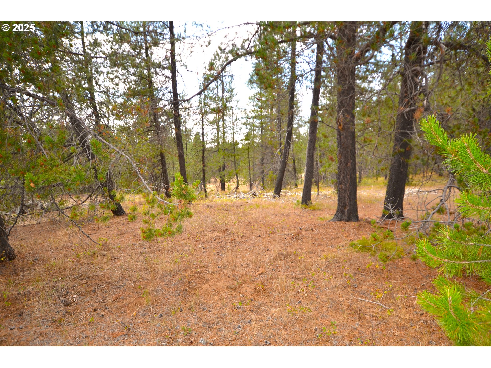 64955 Old Oregon Property Photo 22