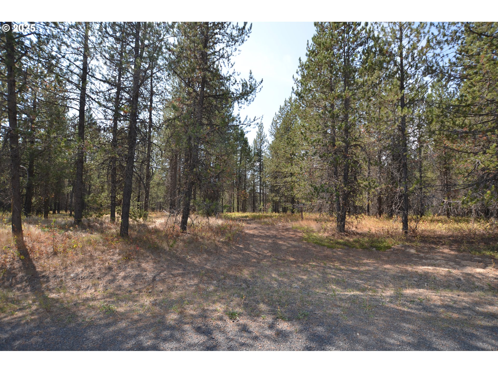 64955 Old Oregon Property Photo 34