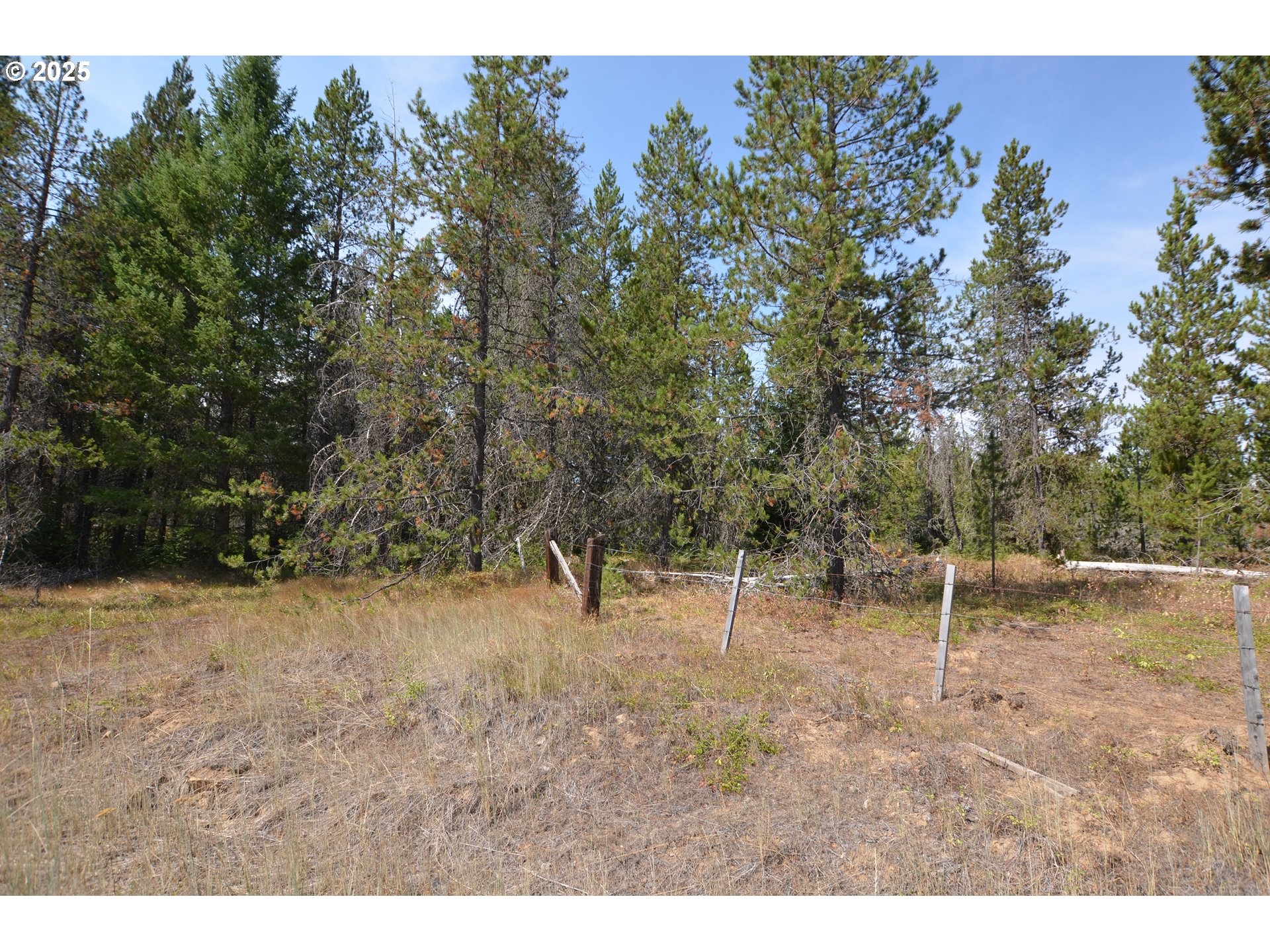 64955 Old Oregon Property Photo 37