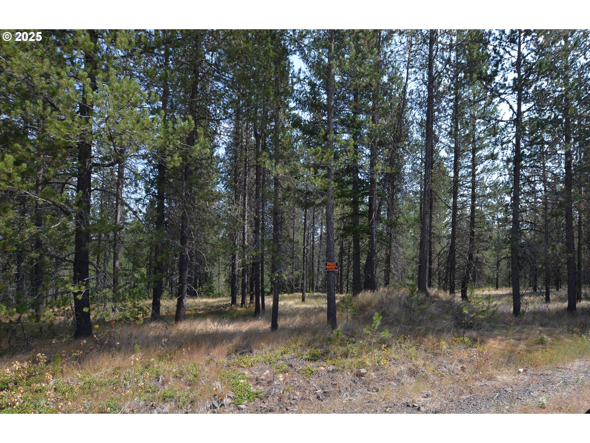 64955 Old Oregon Property Photo 42