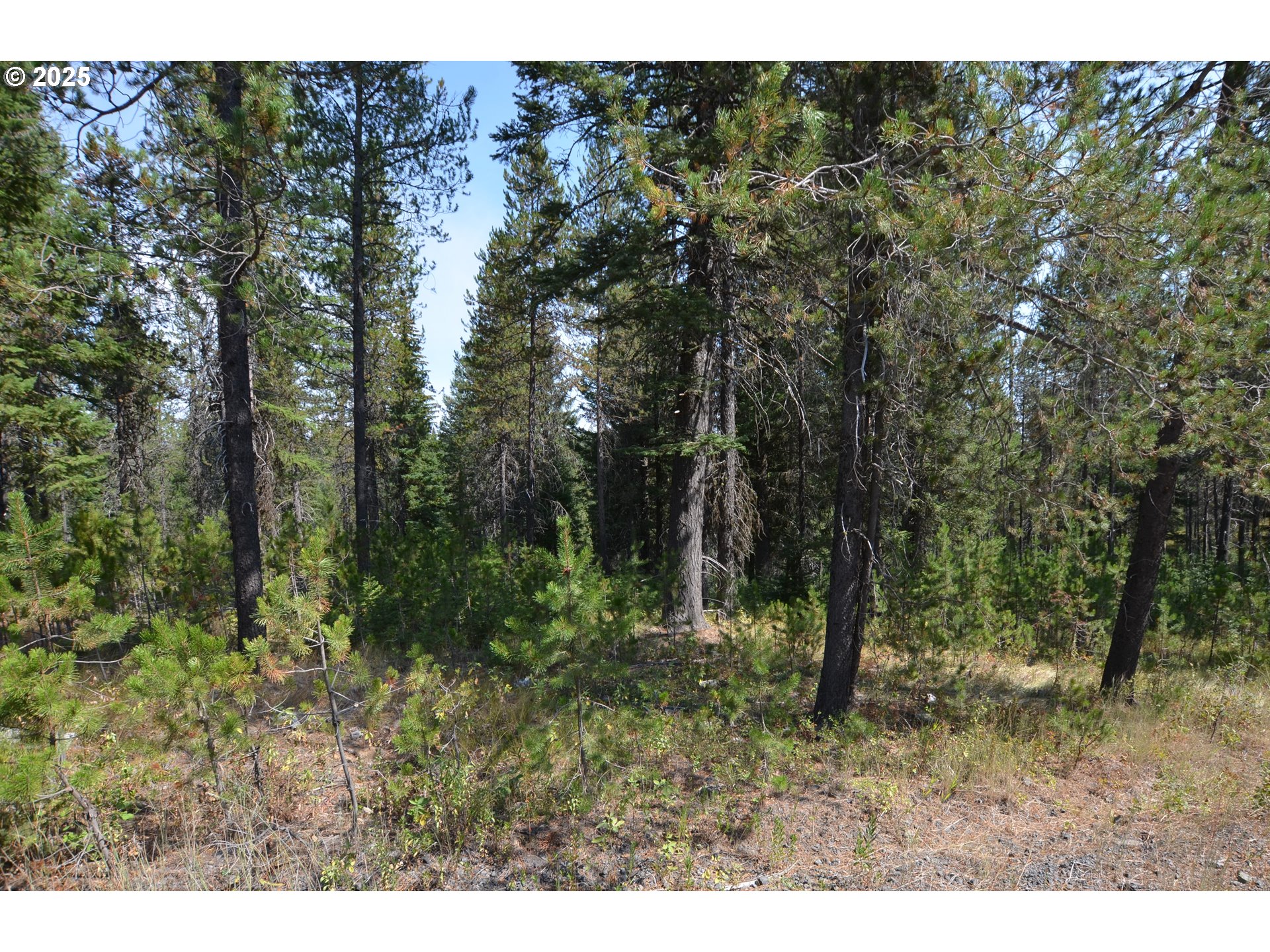 64955 Old Oregon Property Photo 43