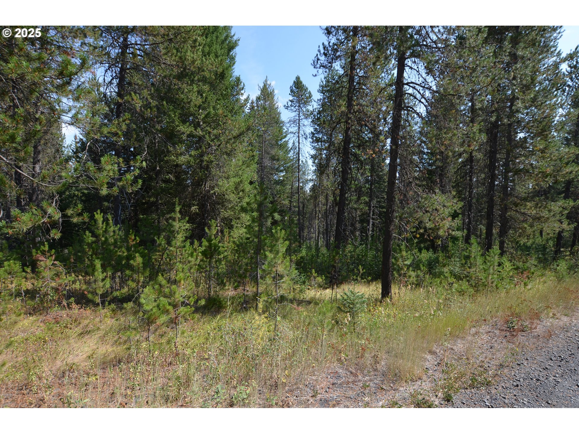 64955 Old Oregon Property Photo 44