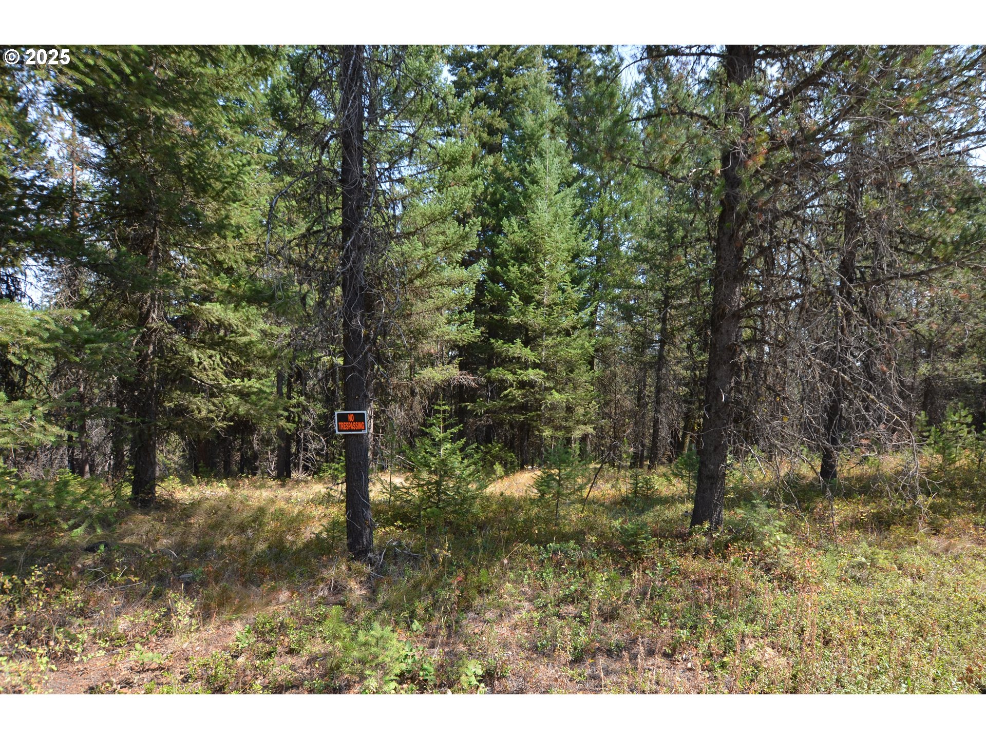 64955 Old Oregon Property Photo 45