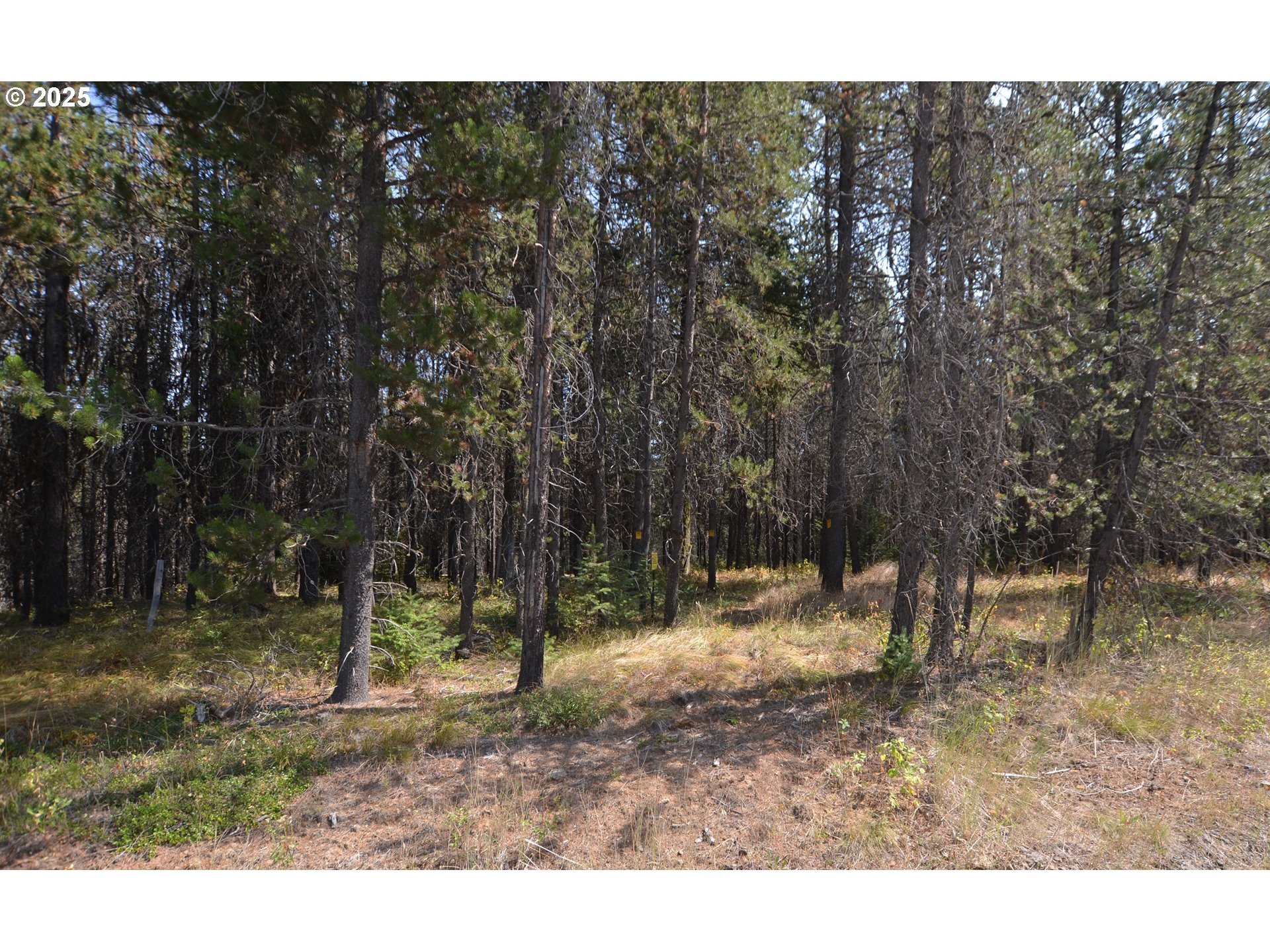 64955 Old Oregon Property Photo 46