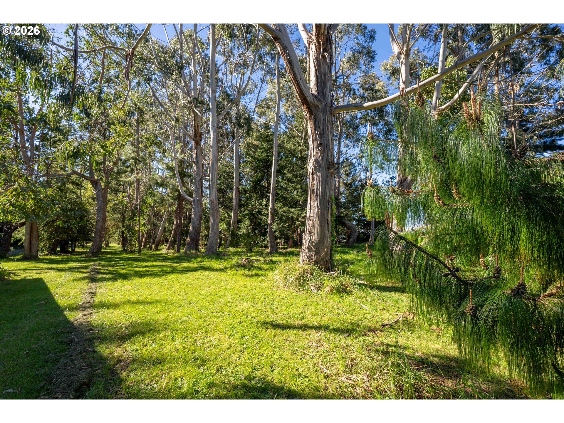 56358 Rusty Road Property Photo 32