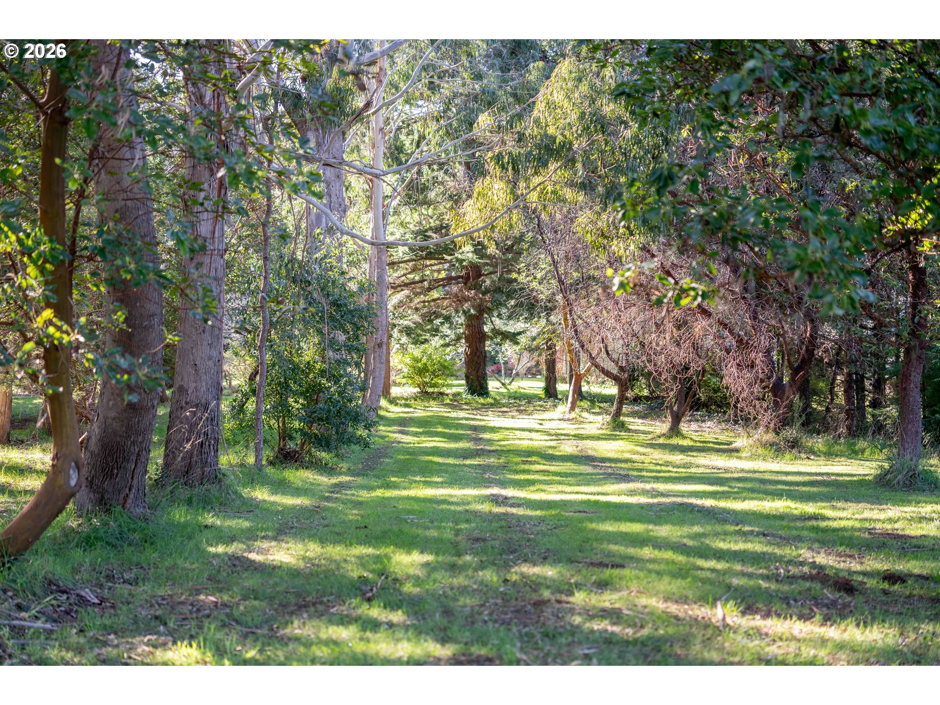 56358 Rusty Road Property Photo 35