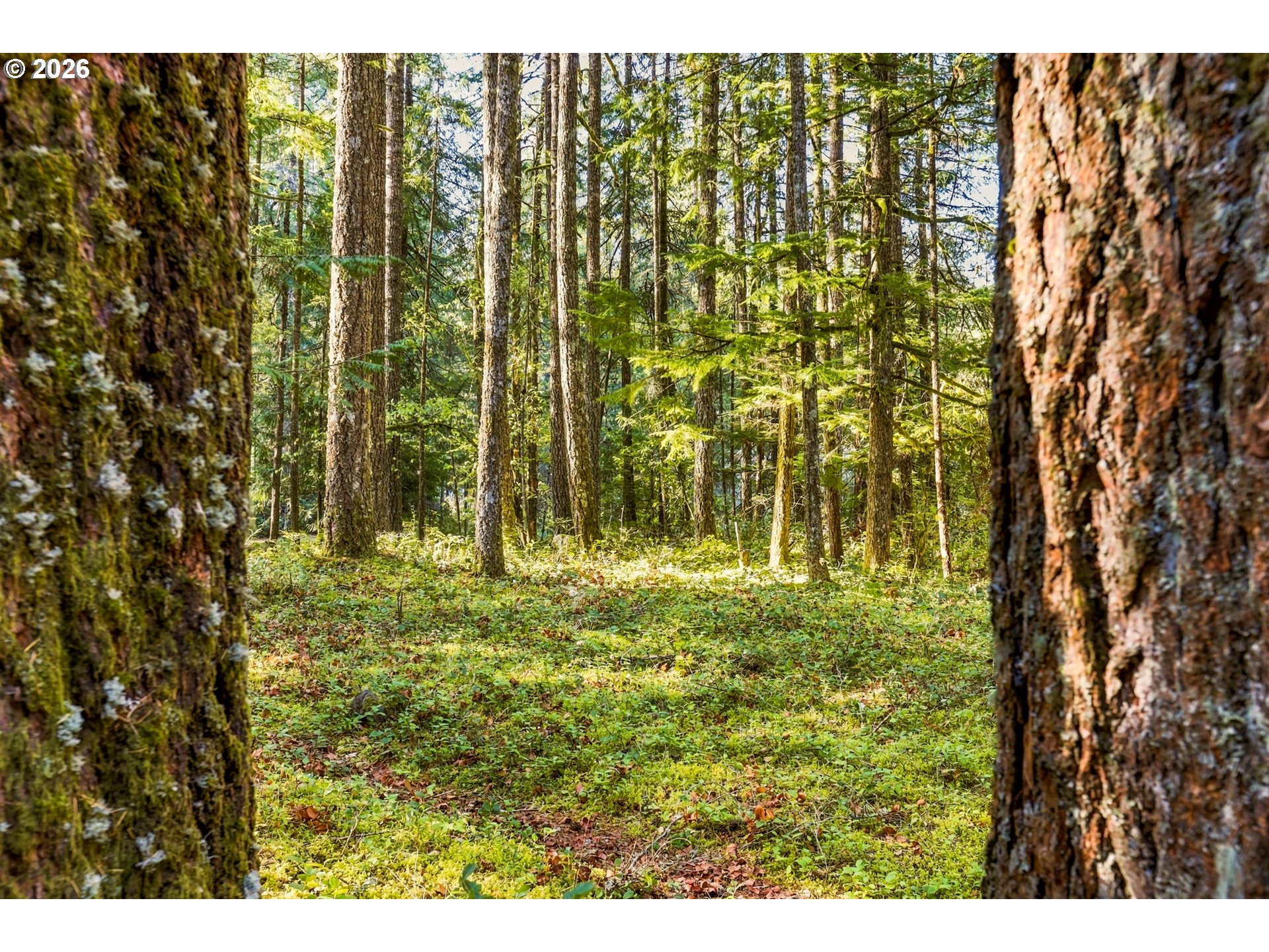 68924 E Barlow Trail Rd Property Photo 39
