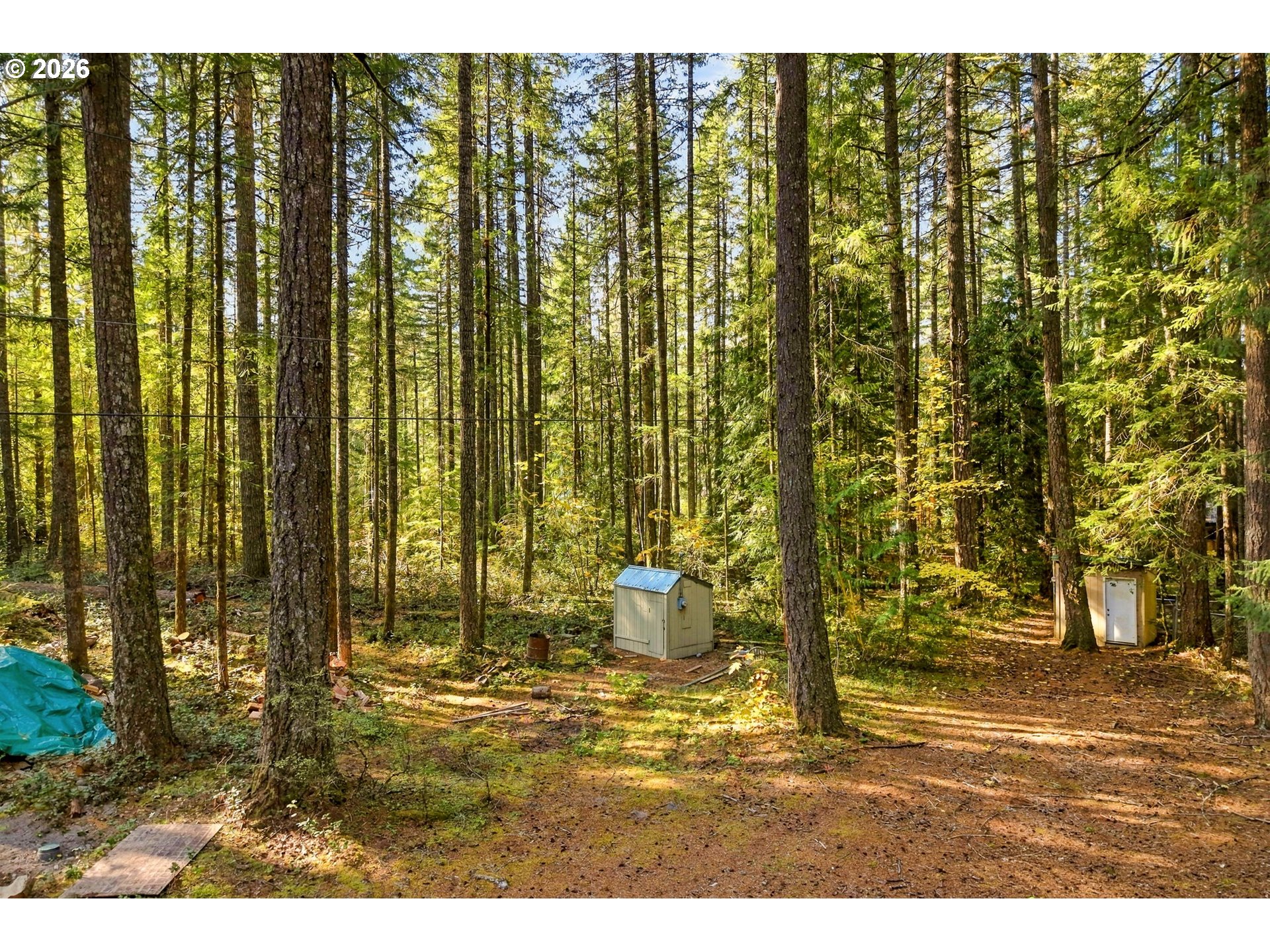 68924 E Barlow Trail Rd Property Photo 41