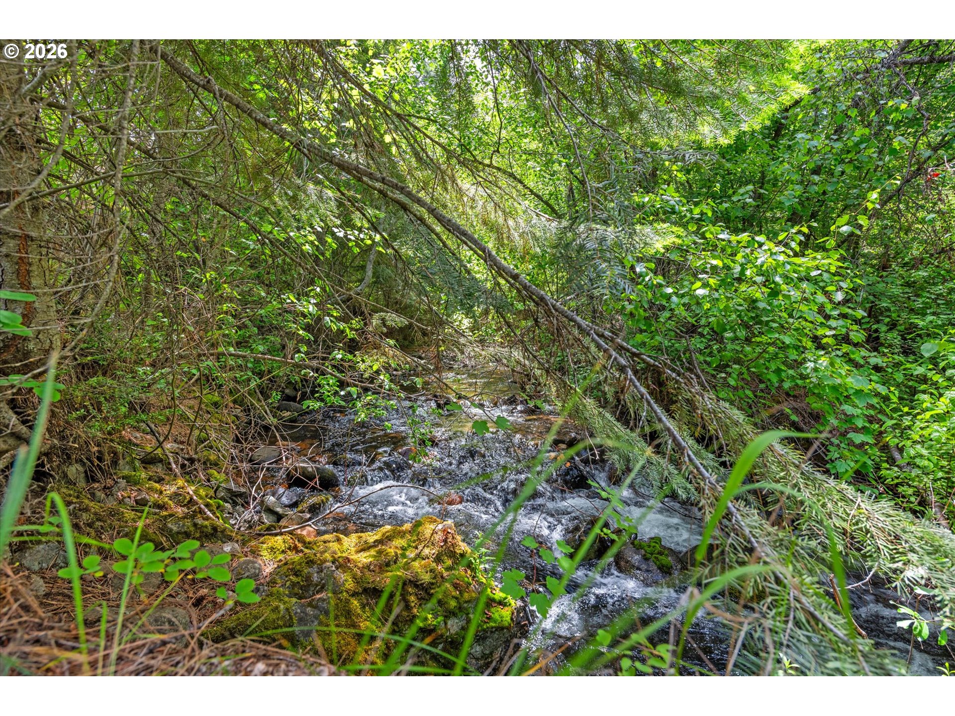 25855 Pine Creek Rd Property Photo 17