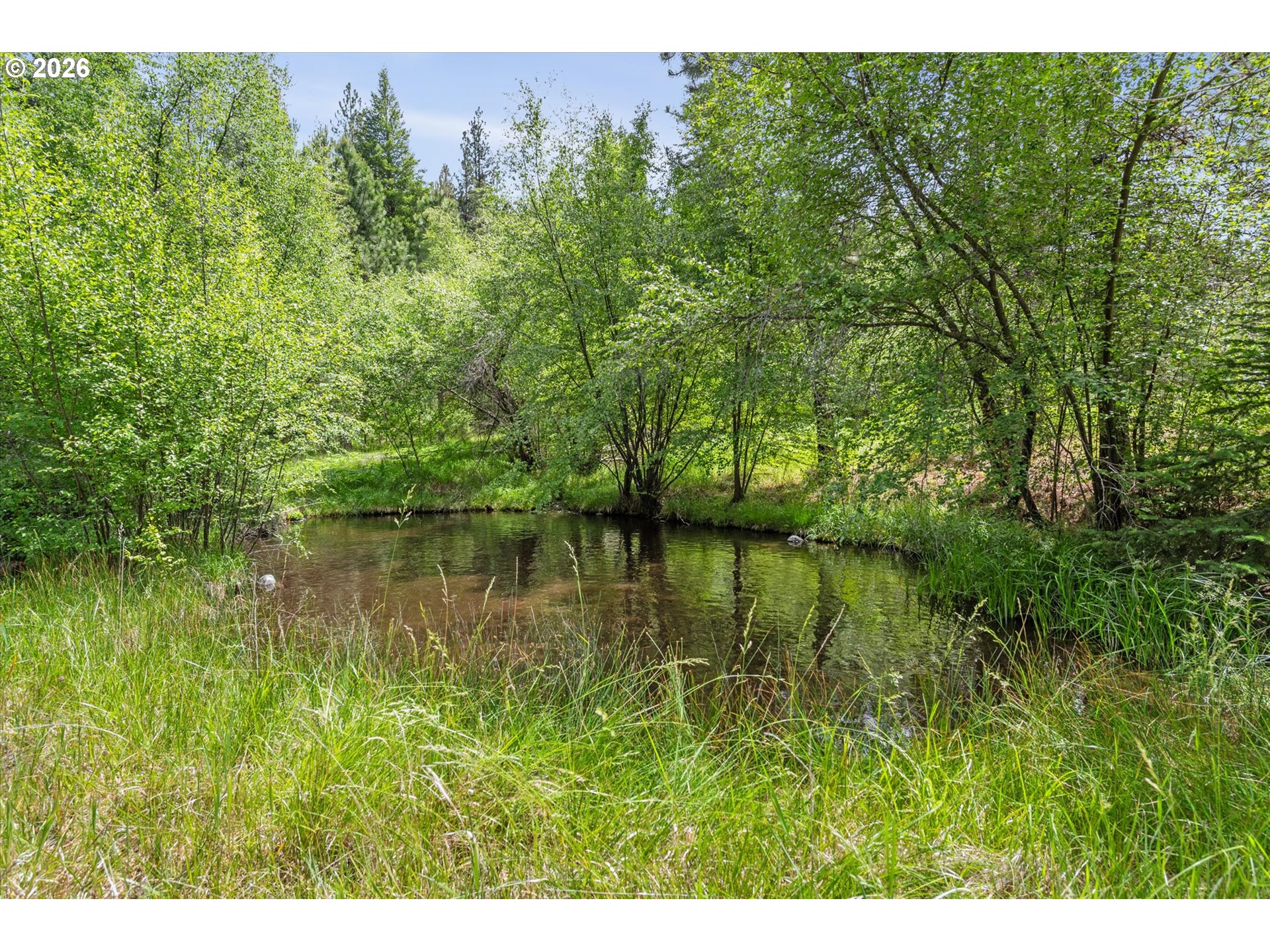 25855 Pine Creek Rd Property Photo 18