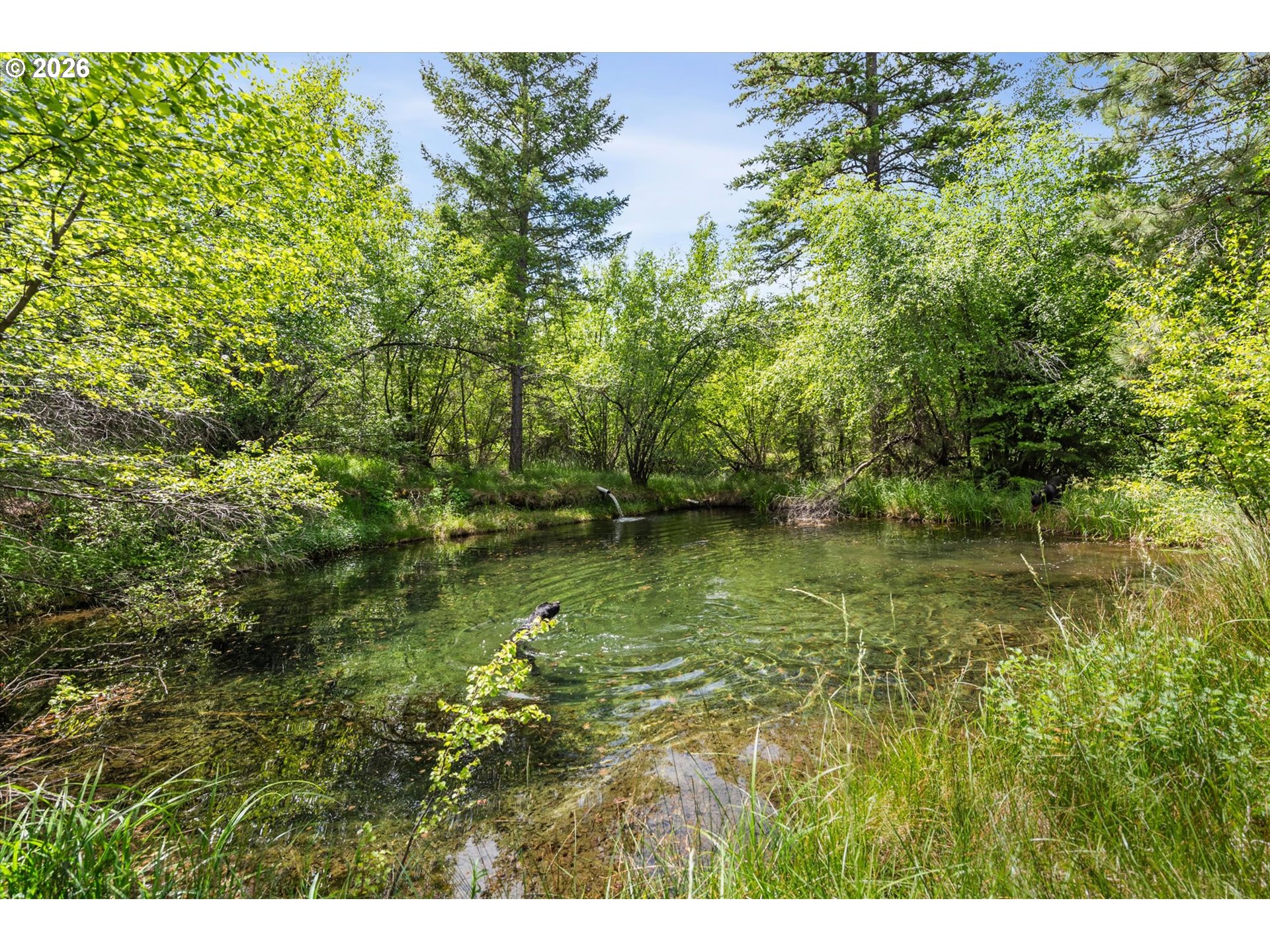 25855 Pine Creek Rd Property Photo 19